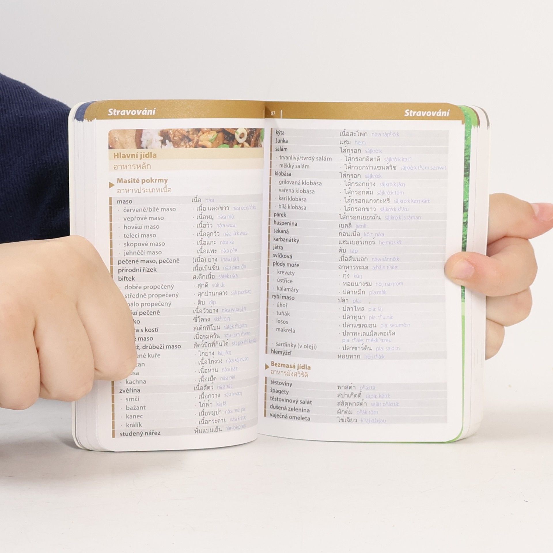 Autores varios Thajština. Konverzace