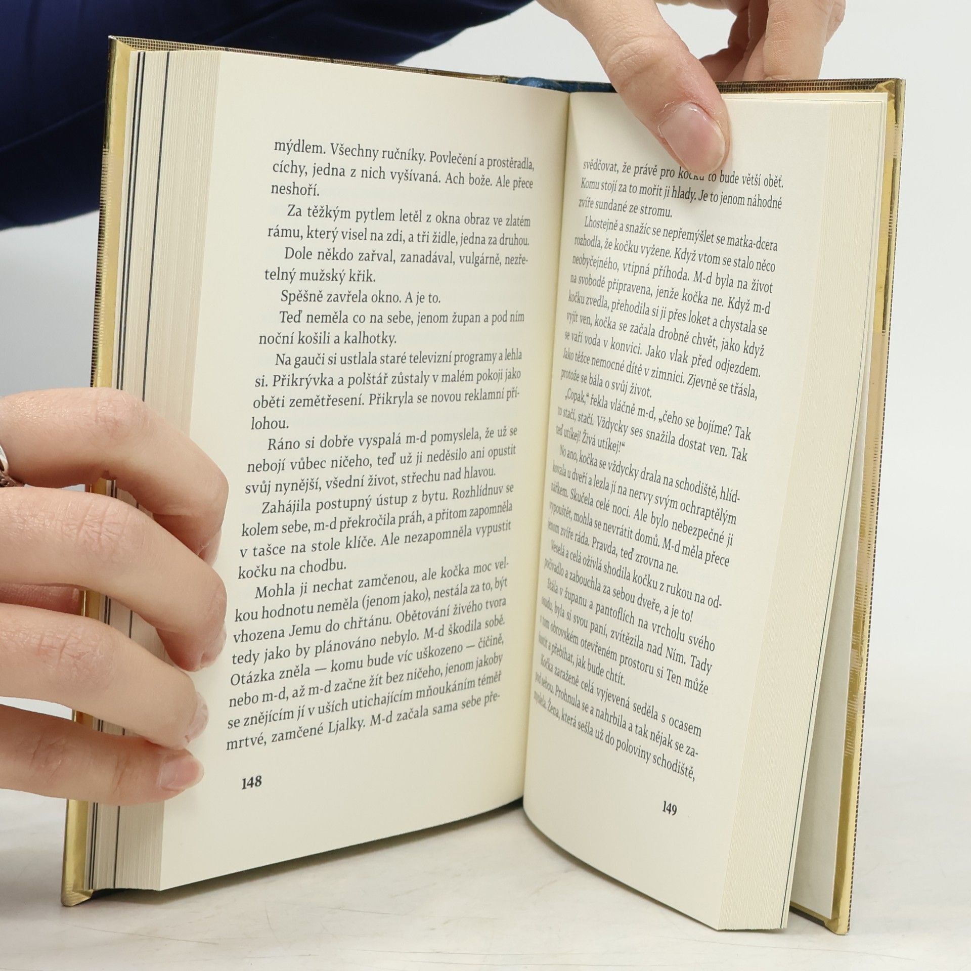 Ľudmila Petruševská Byla jednou jedna žena, která chtěla zabít sousedovo dítě