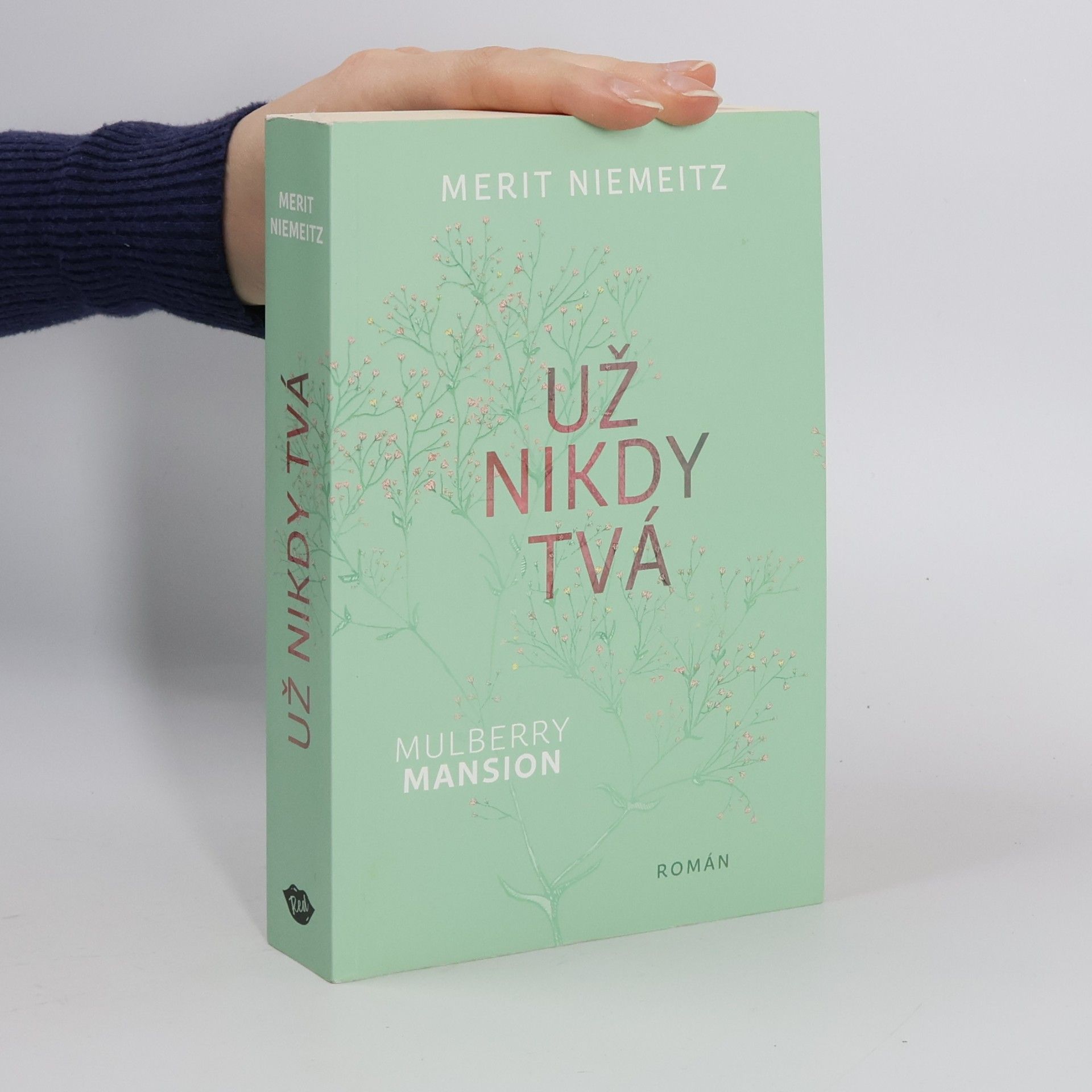 Merit Niemeitz Už nikdy tvá