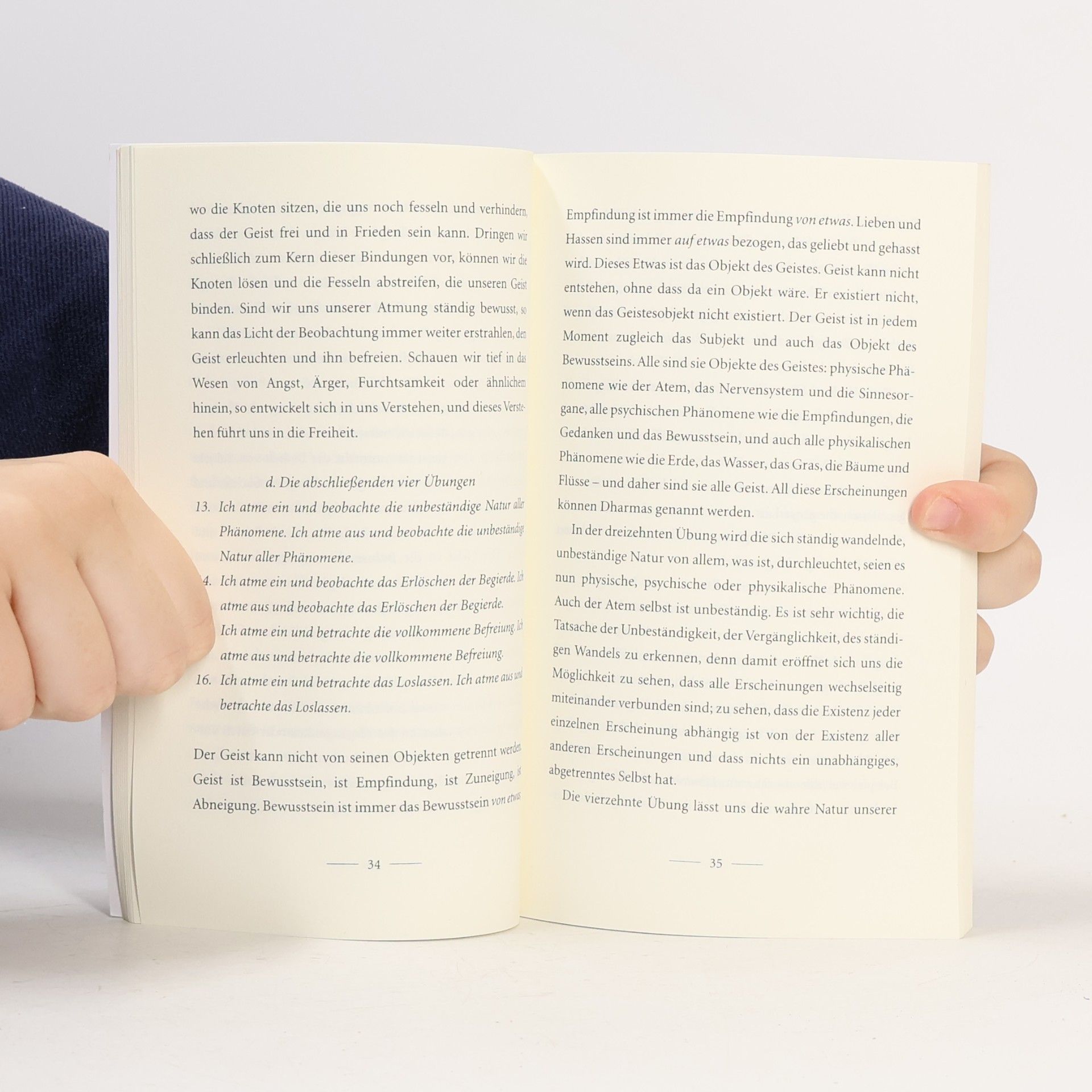 Thích Nhất Hạnh Das Wunder des bewussten Atmens