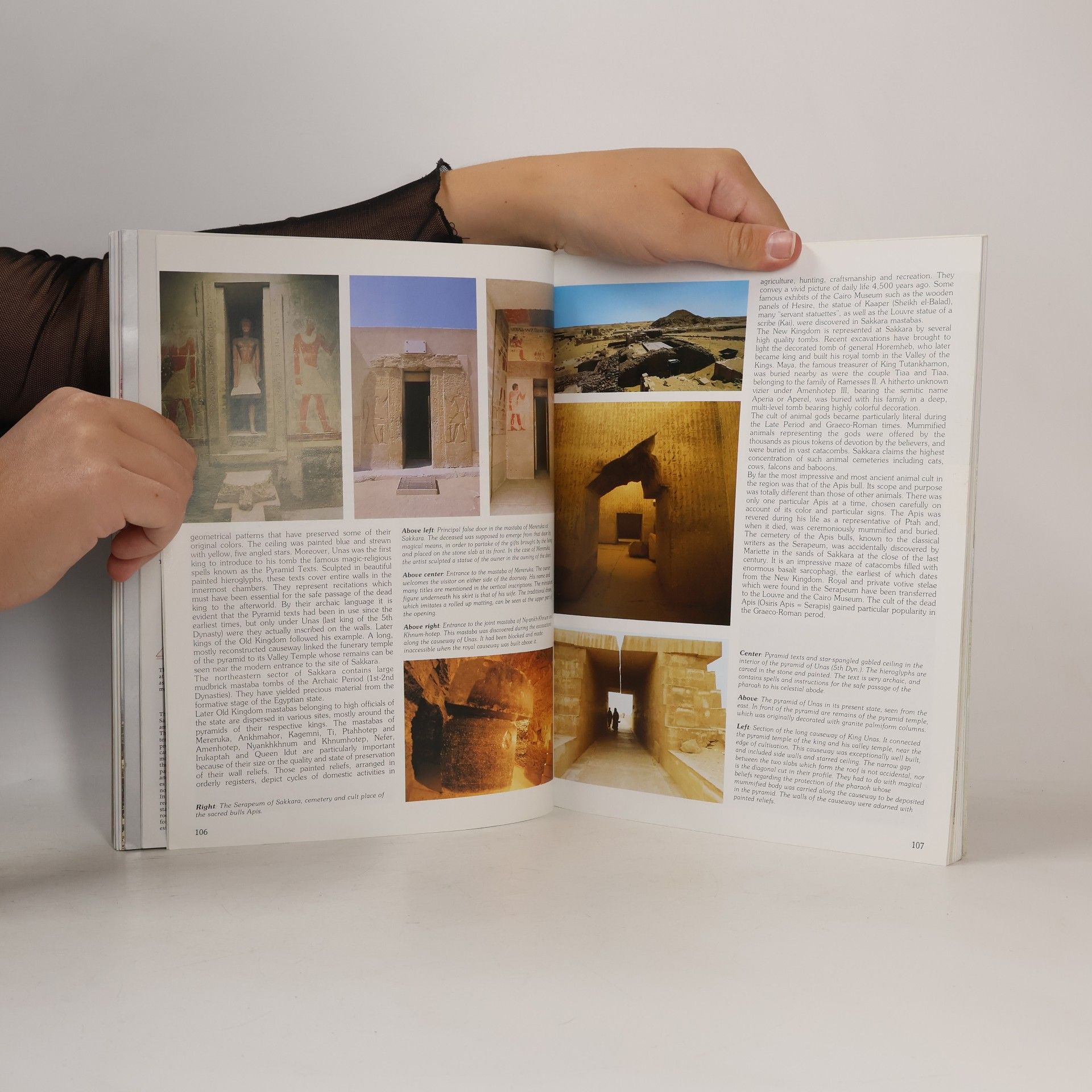 Various authors Egypt History and Civilization
