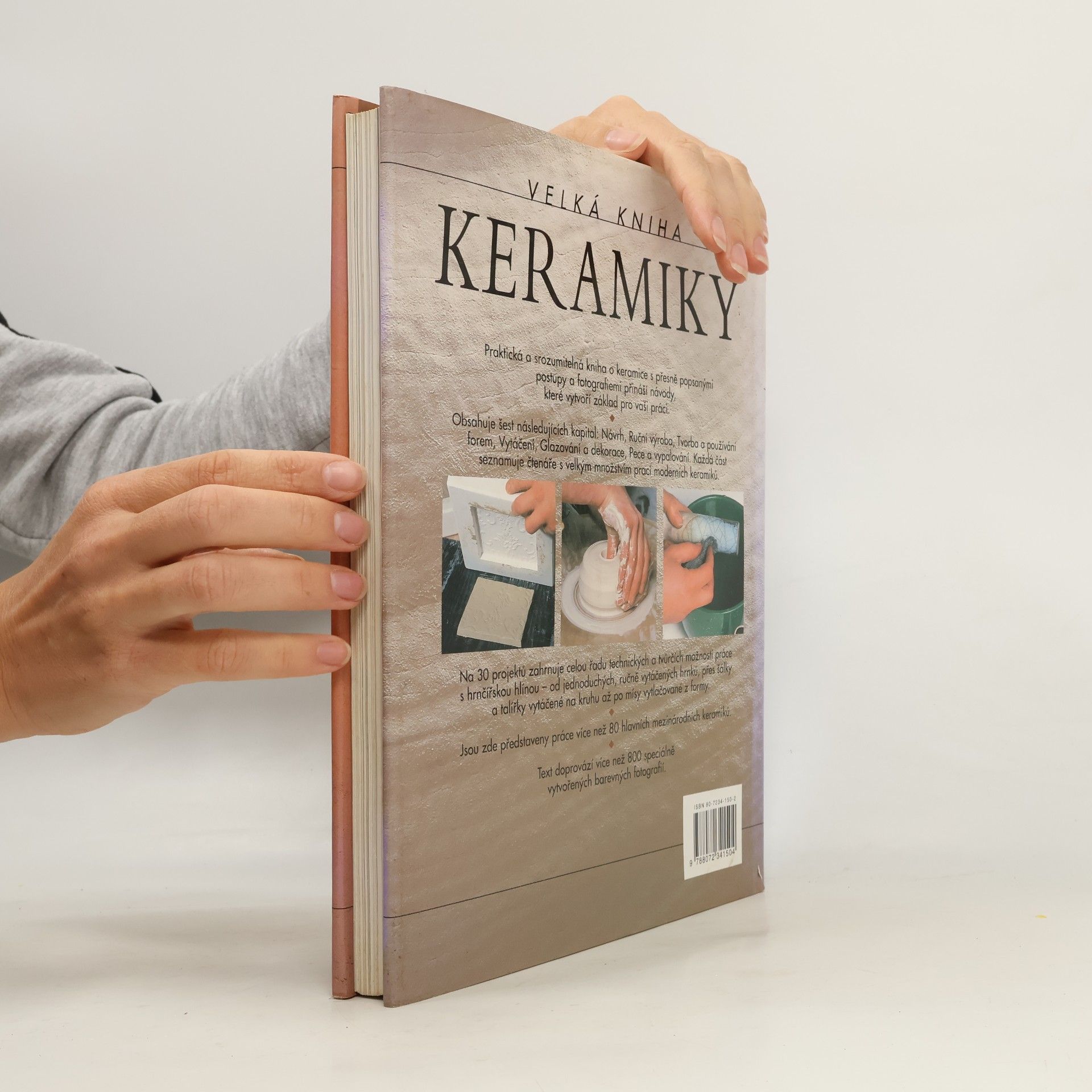 Josie Warshaw Velká kniha keramiky