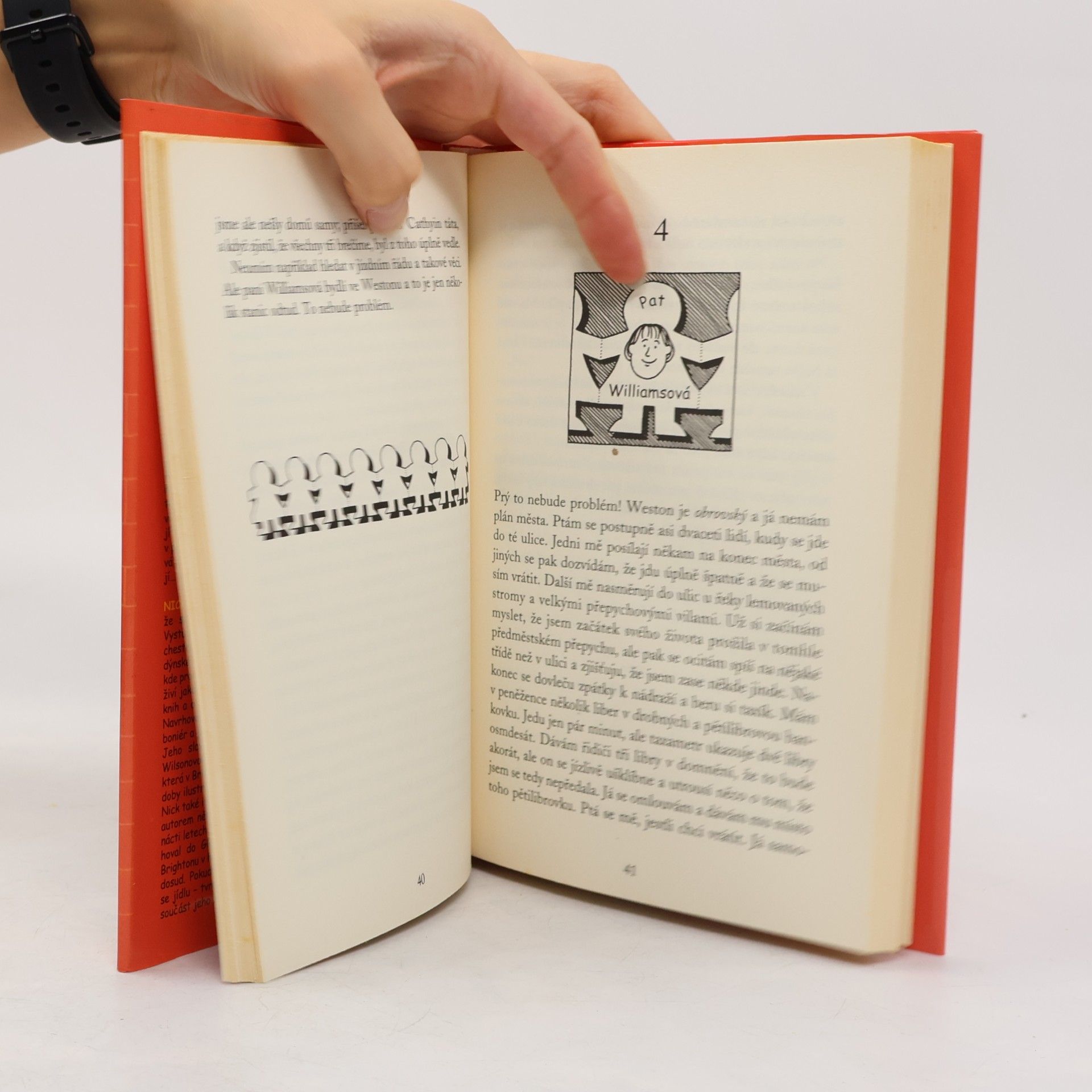 Jacqueline Wilson Holka z popelnice