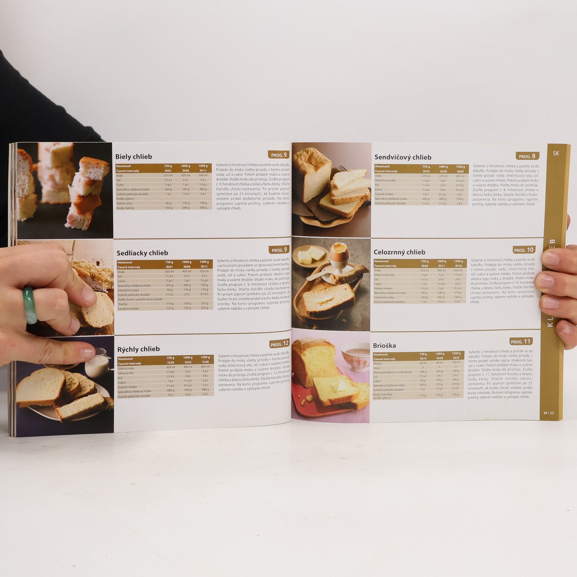 Kolektív autorov Recipe Book. Bread of the World