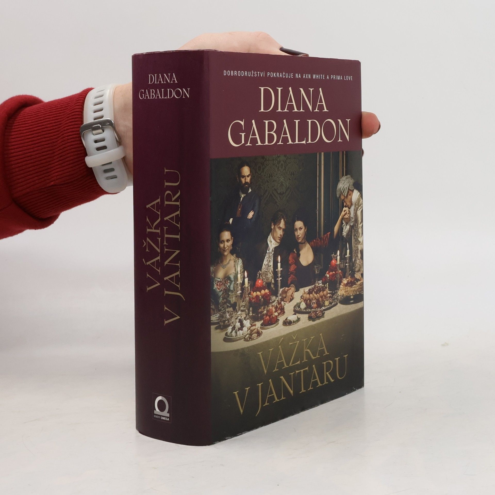 Diana Gabaldon Vážka v jantaru