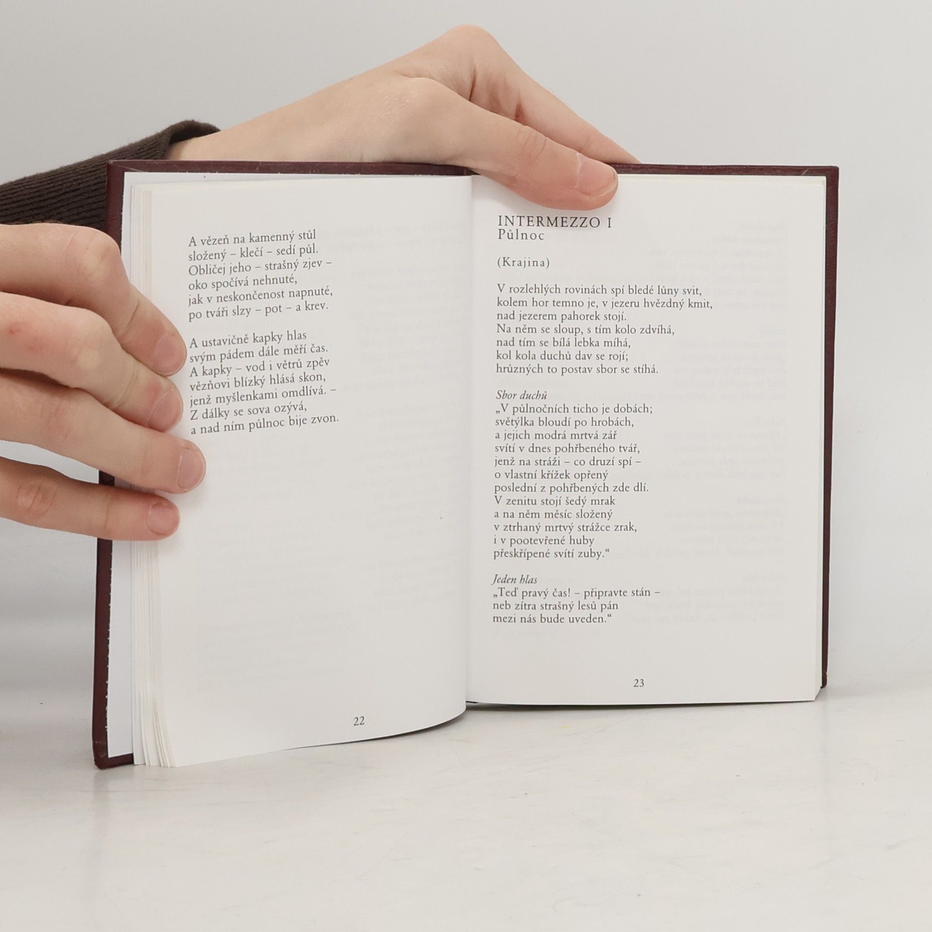 Karel Hynek Mácha To nejlepší z poezie 19. století: Máj, Kytice
