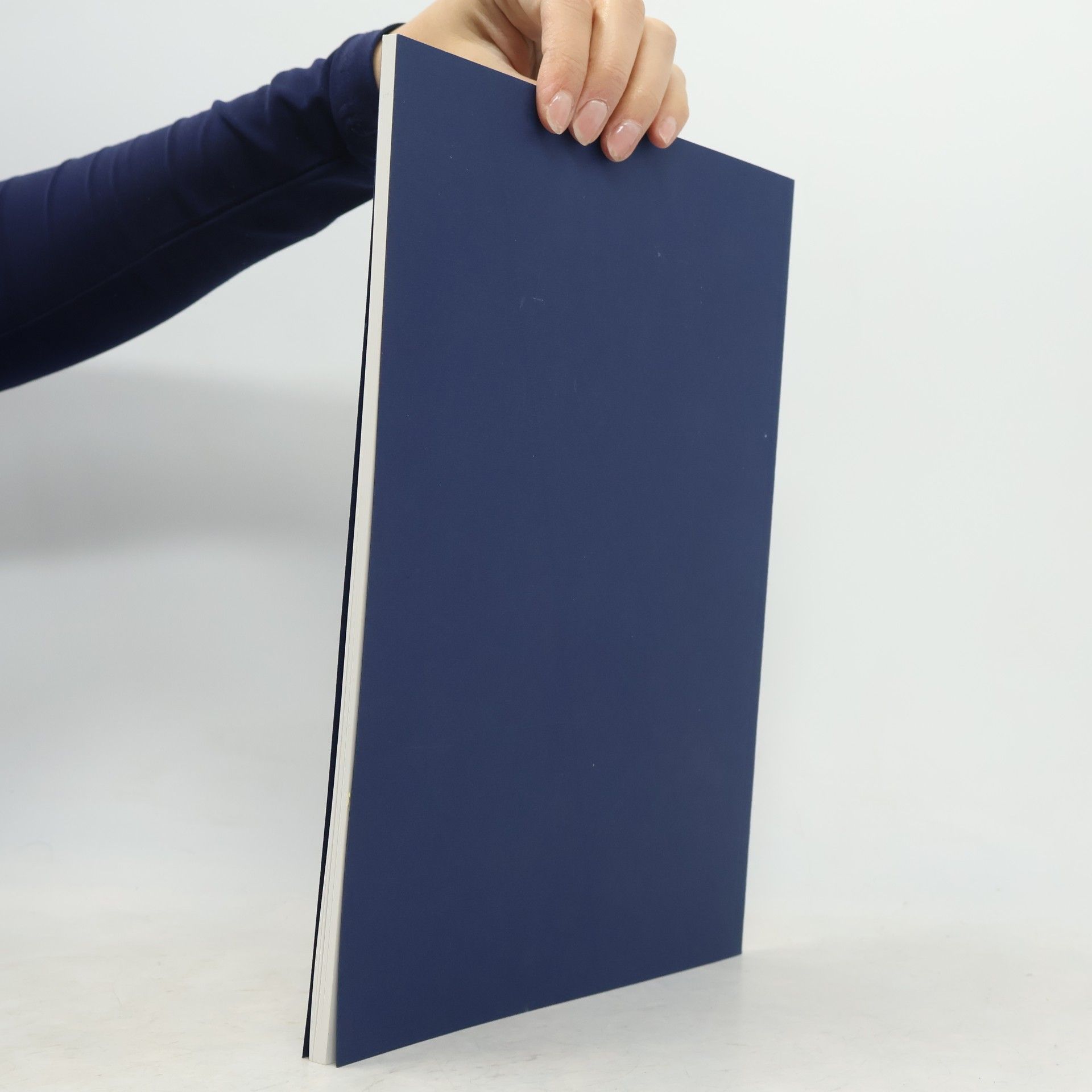 Kolektiv autorů Podyjí