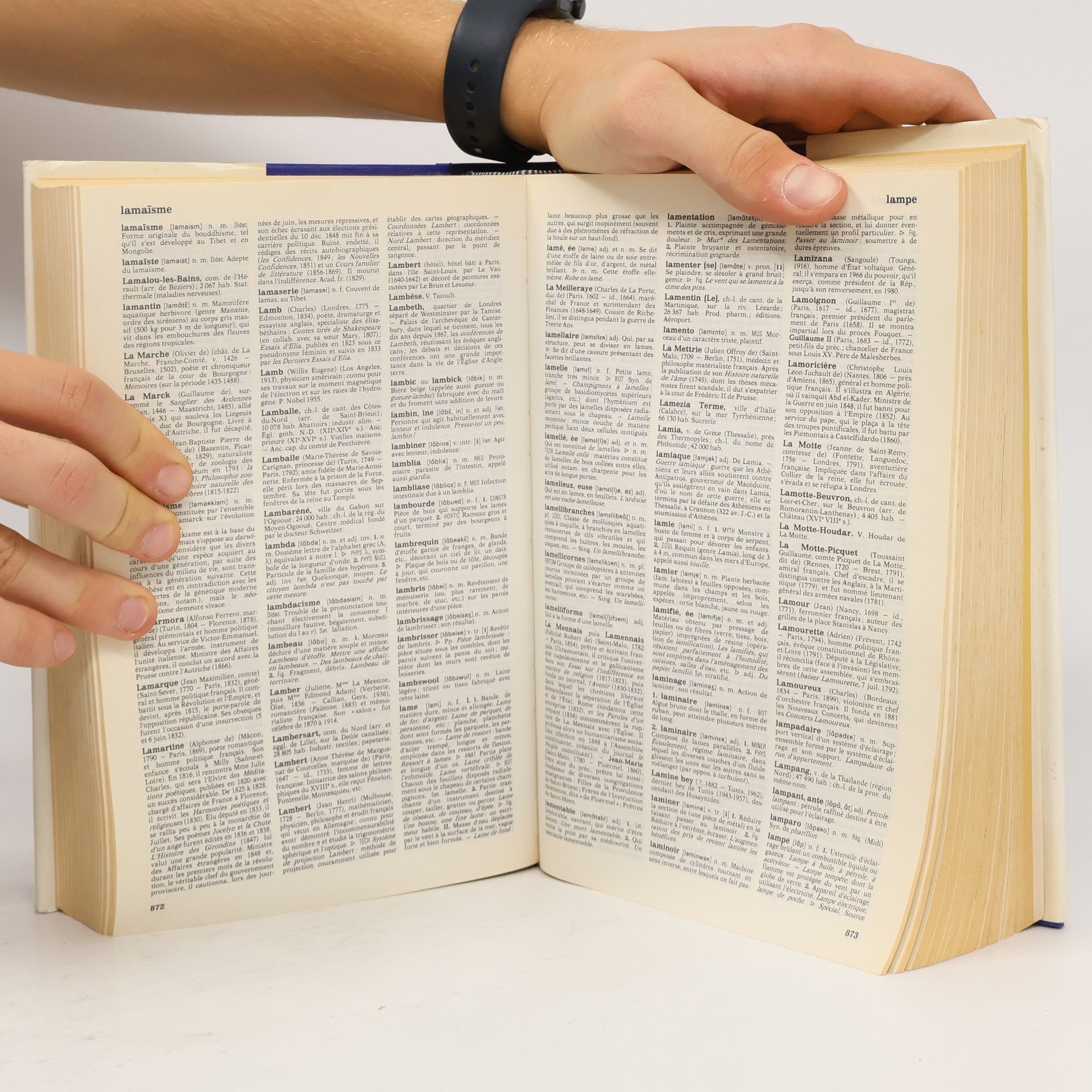 Le Dictionnaire de notre temps