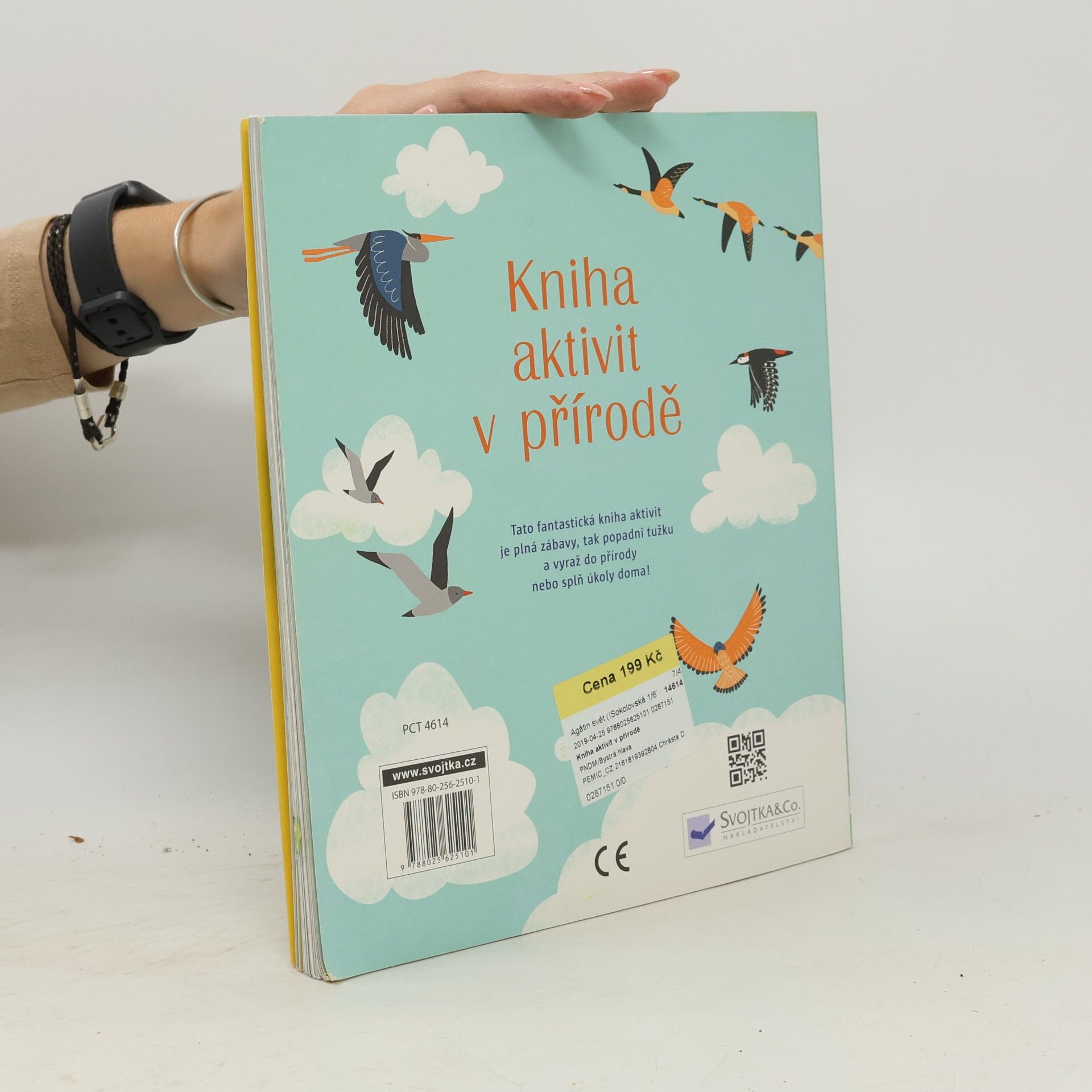 Rebecca Gilpin Kniha aktivit v přírodě