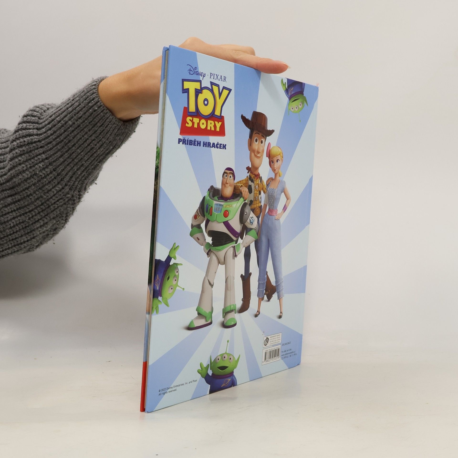Autorenkollektiv Příběh hraček - Knížka na celý rok