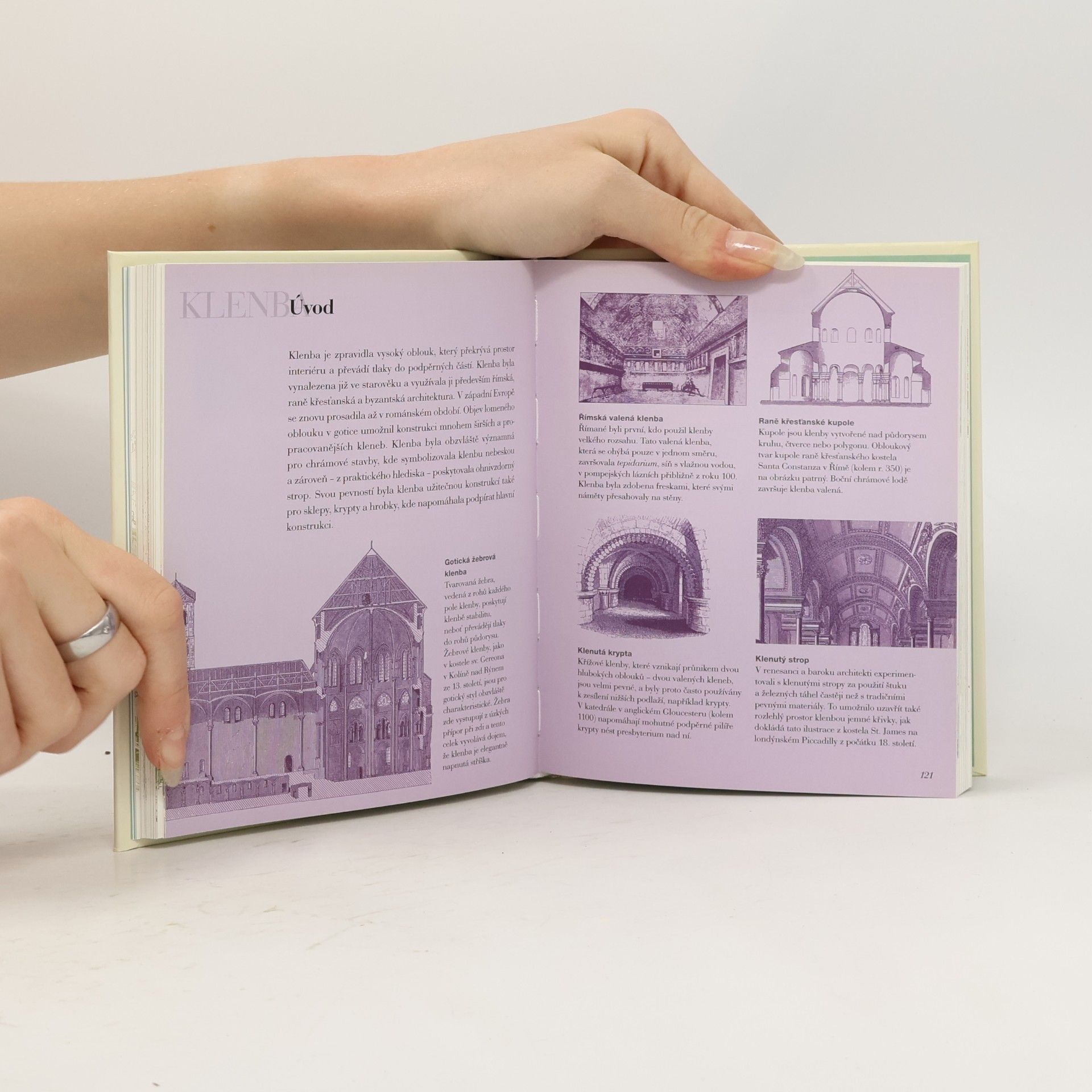 Carol Davidson Cragoe Abeceda architektury. Průvodce základními pojmy a stavebními slohy
