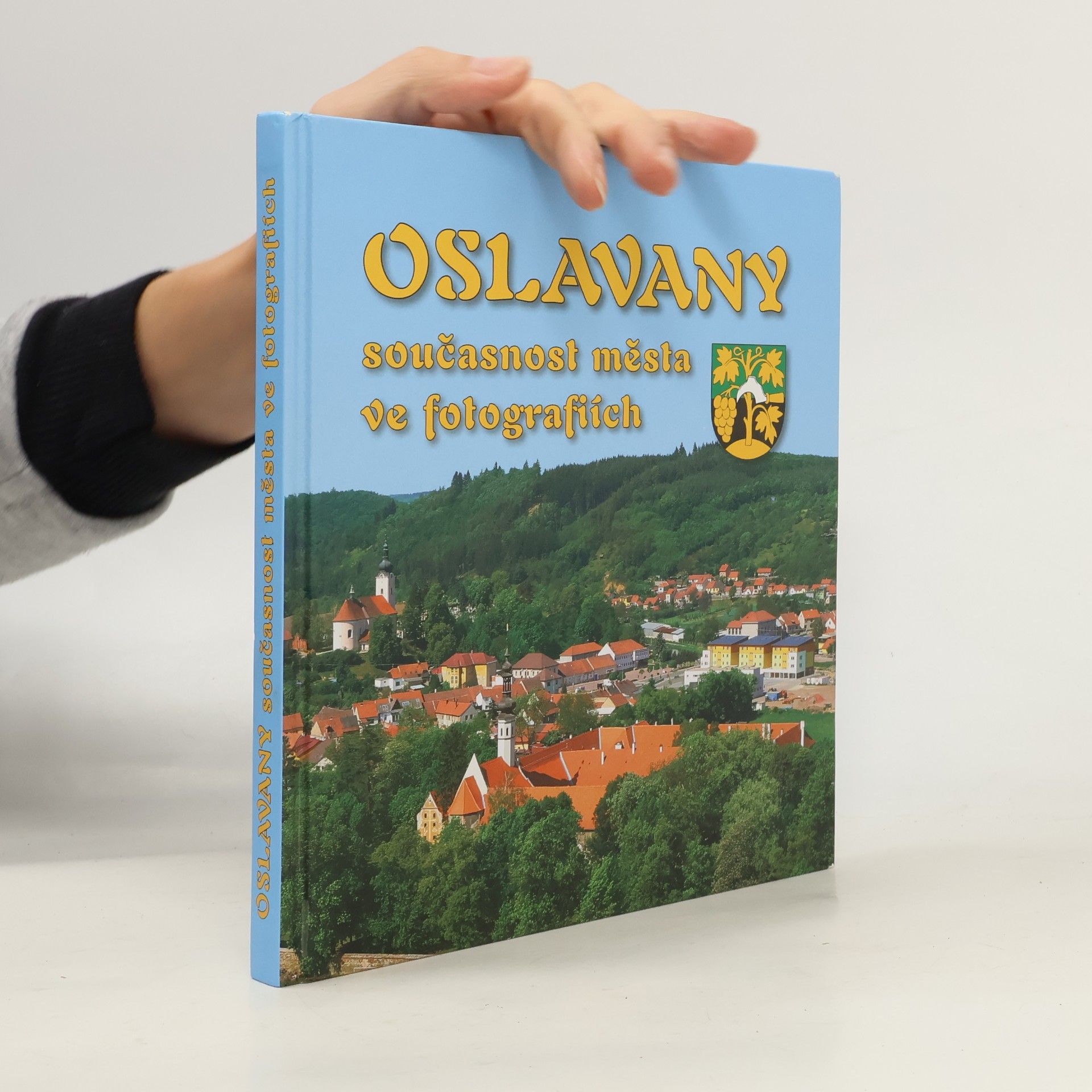 Kolektiv autorů Oslavany : současnost města ve fotografiích