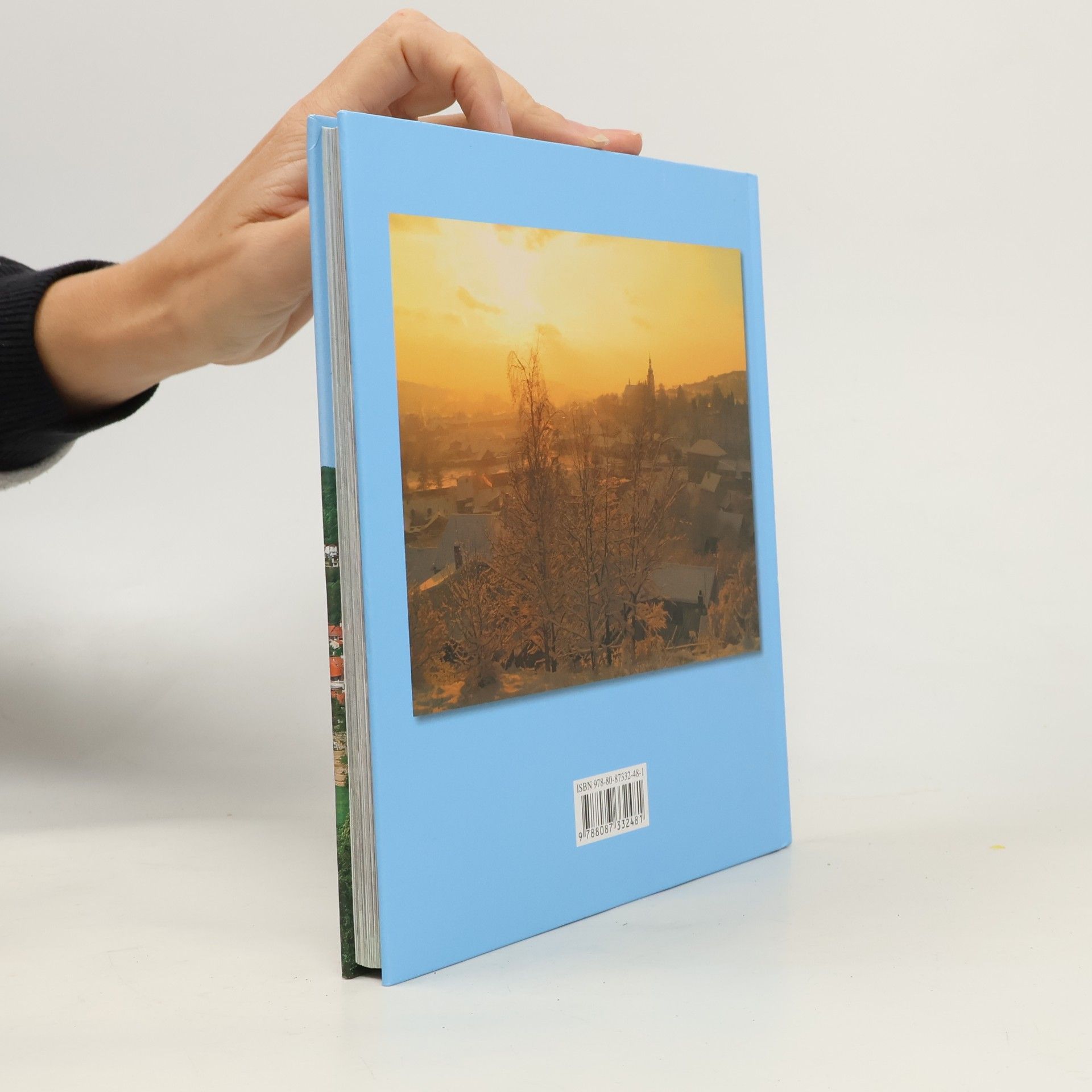 Kolektiv autorů Oslavany : současnost města ve fotografiích