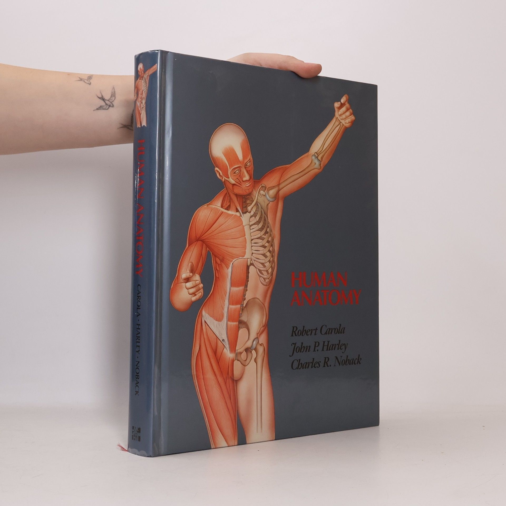 Charles R. Noback Human Anatomy