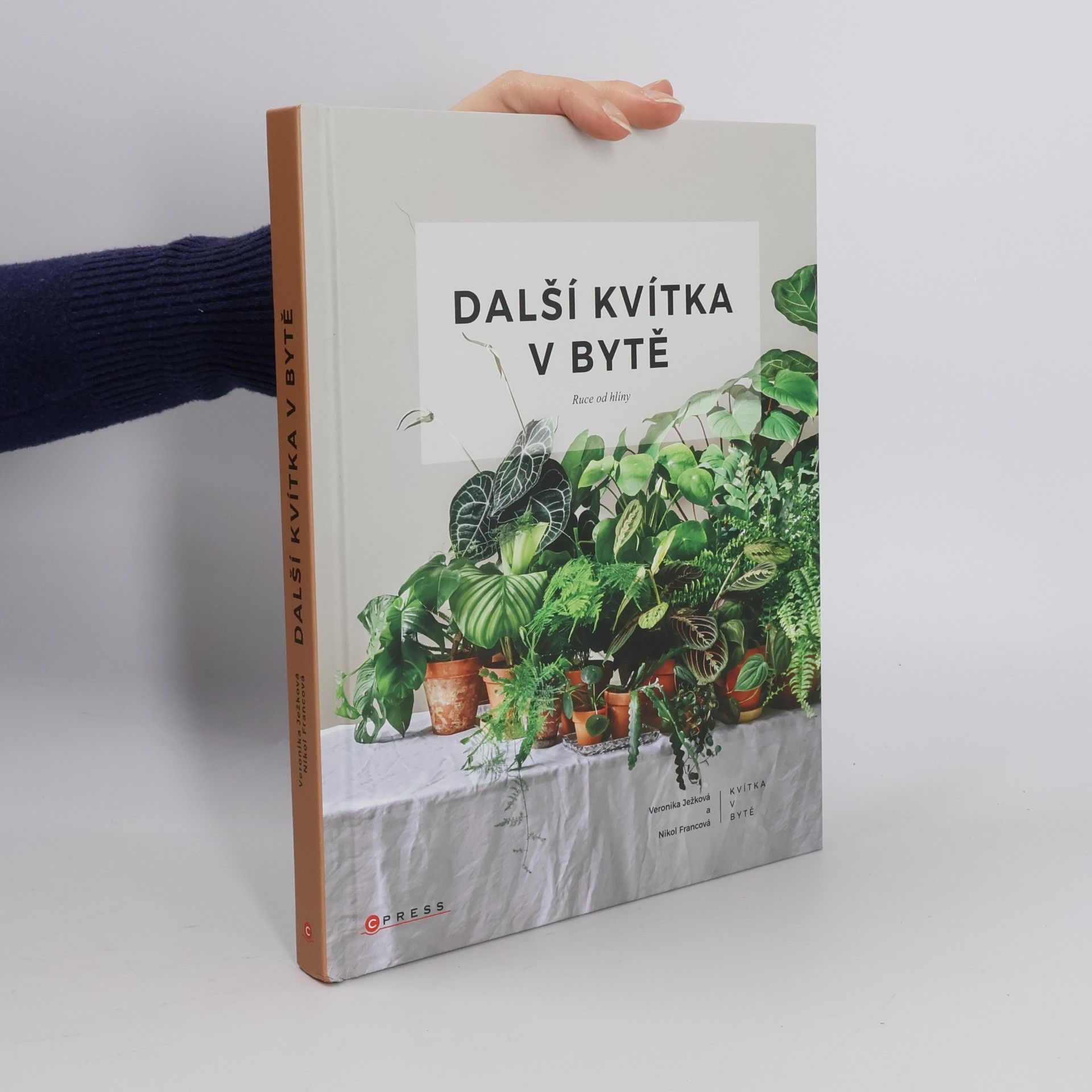 Další kvítka v bytě : Ruce od hlíny