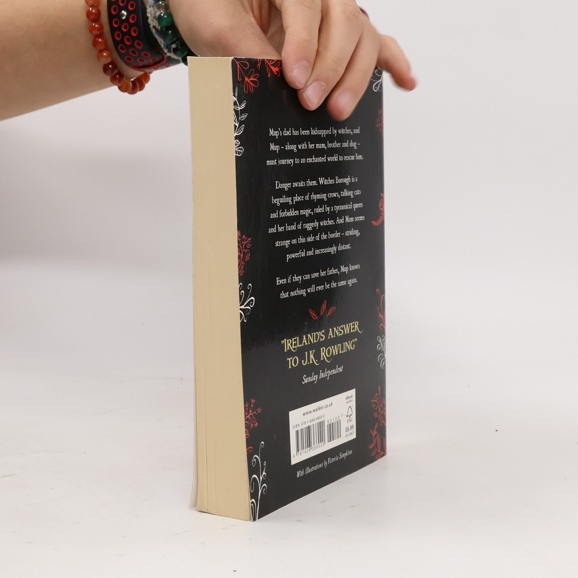 Celine Kiernan The wild magic - trilogy. Begone the raggedy witches
