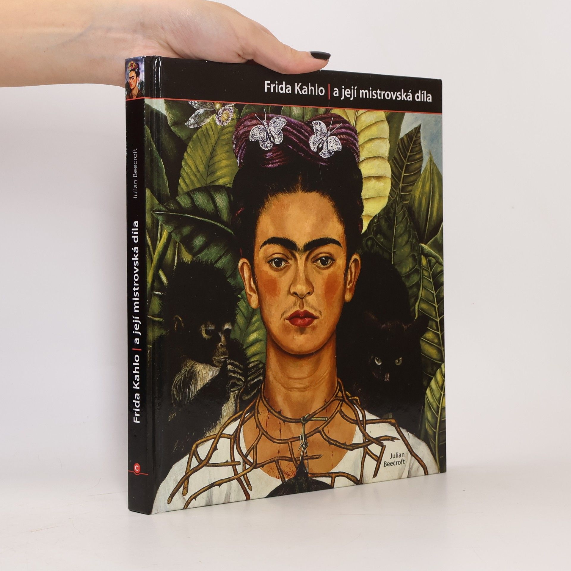 Julian Beecroft Frida Kahlo a její mistrovská díla