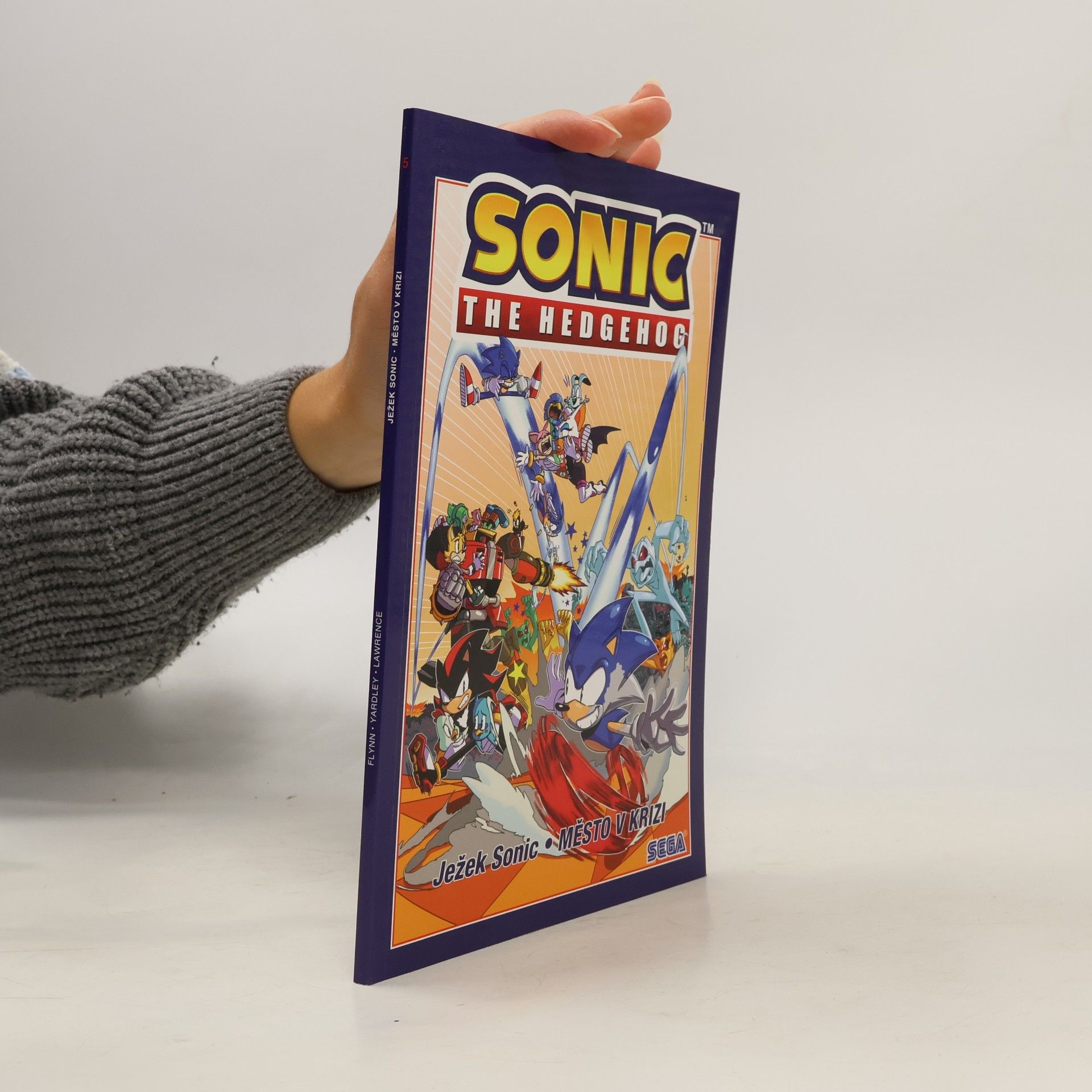 Ian Flynn Ježek Sonic 5 - Město v krizi
