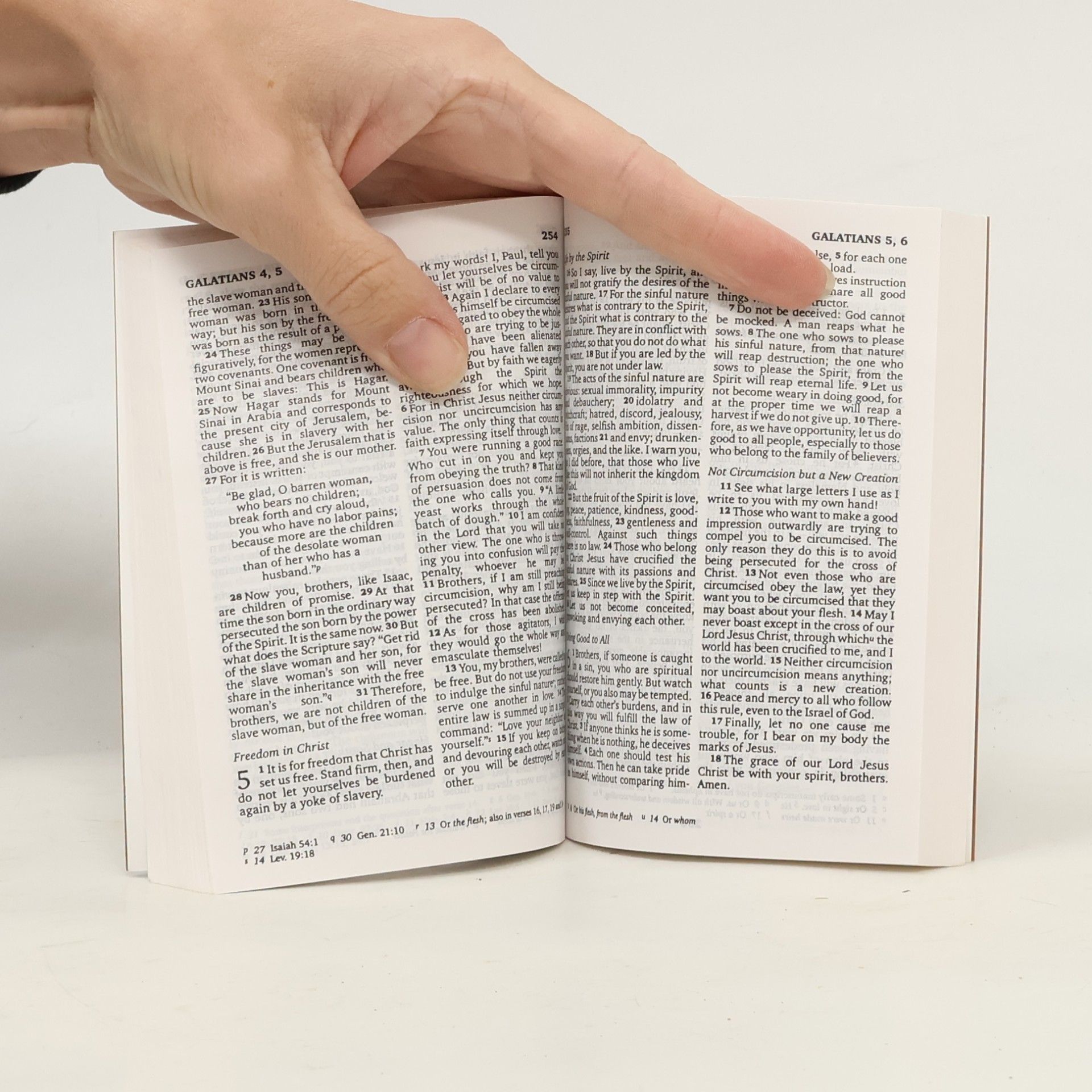 Autorenkollektiv New Testament