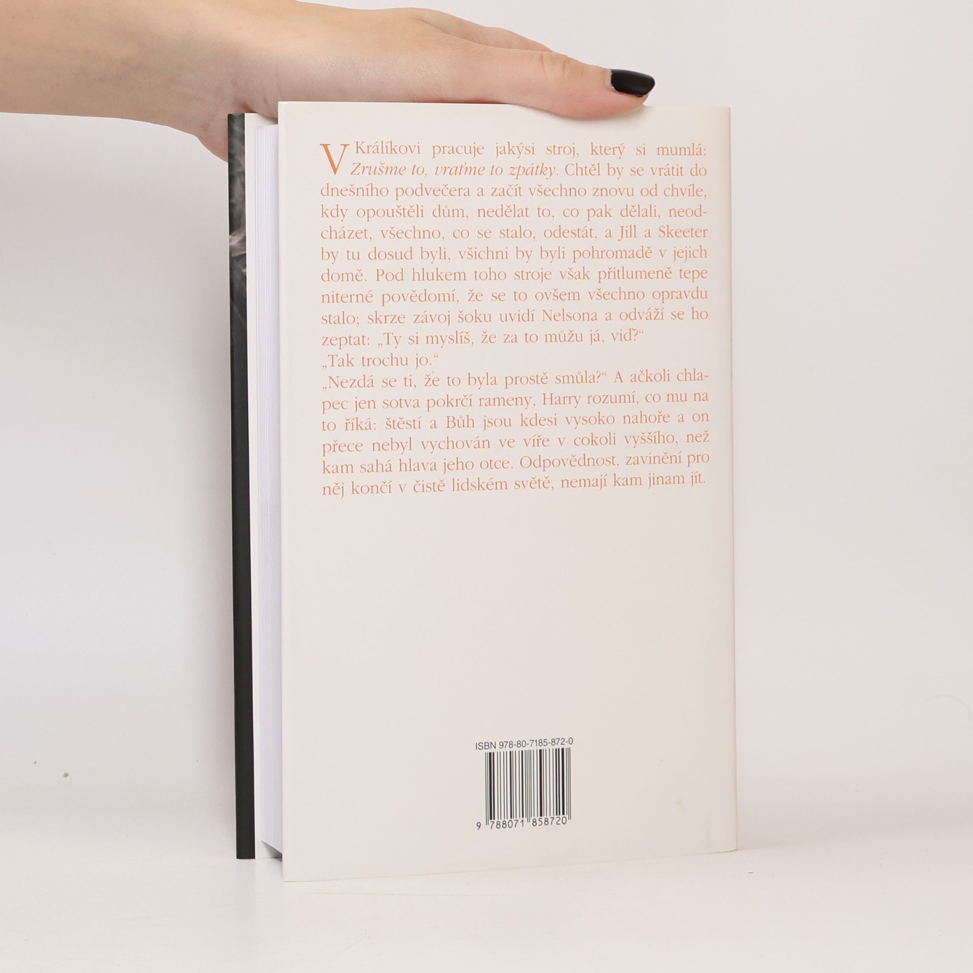 John Updike Králík se vrací