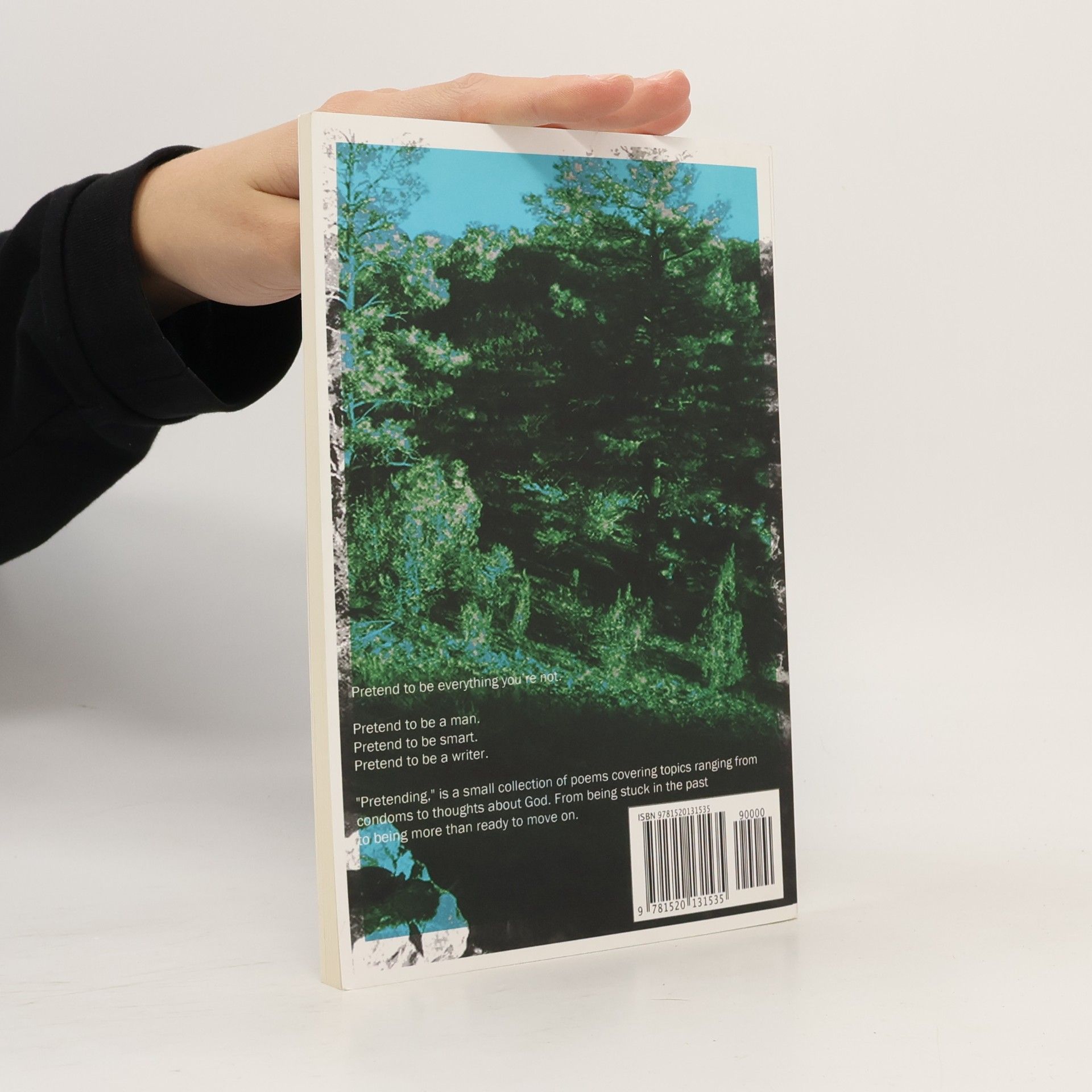 Gavin Storm McInelly Pretending: A Book of Almost Poetry