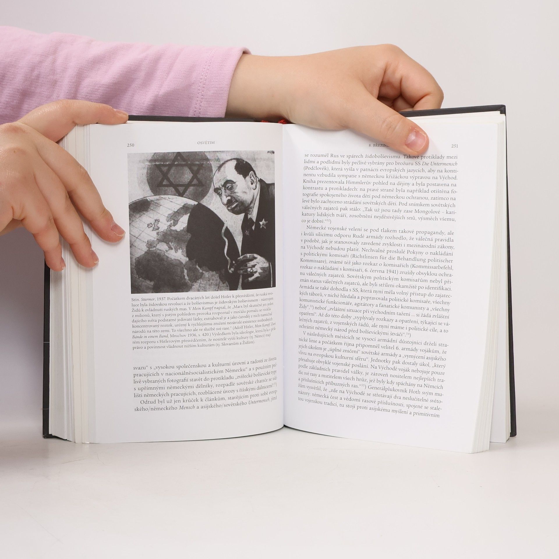 Autorenkollektiv Osvětim. 1270 až současnost