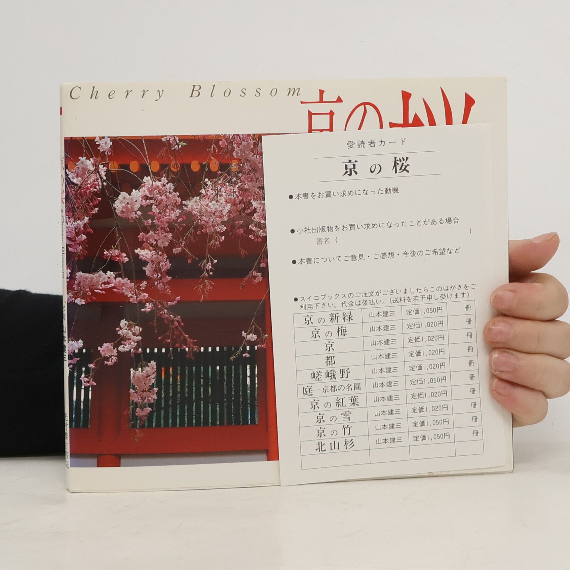 Kenzō Yamamoto 京の梅. Cherry Blossoms