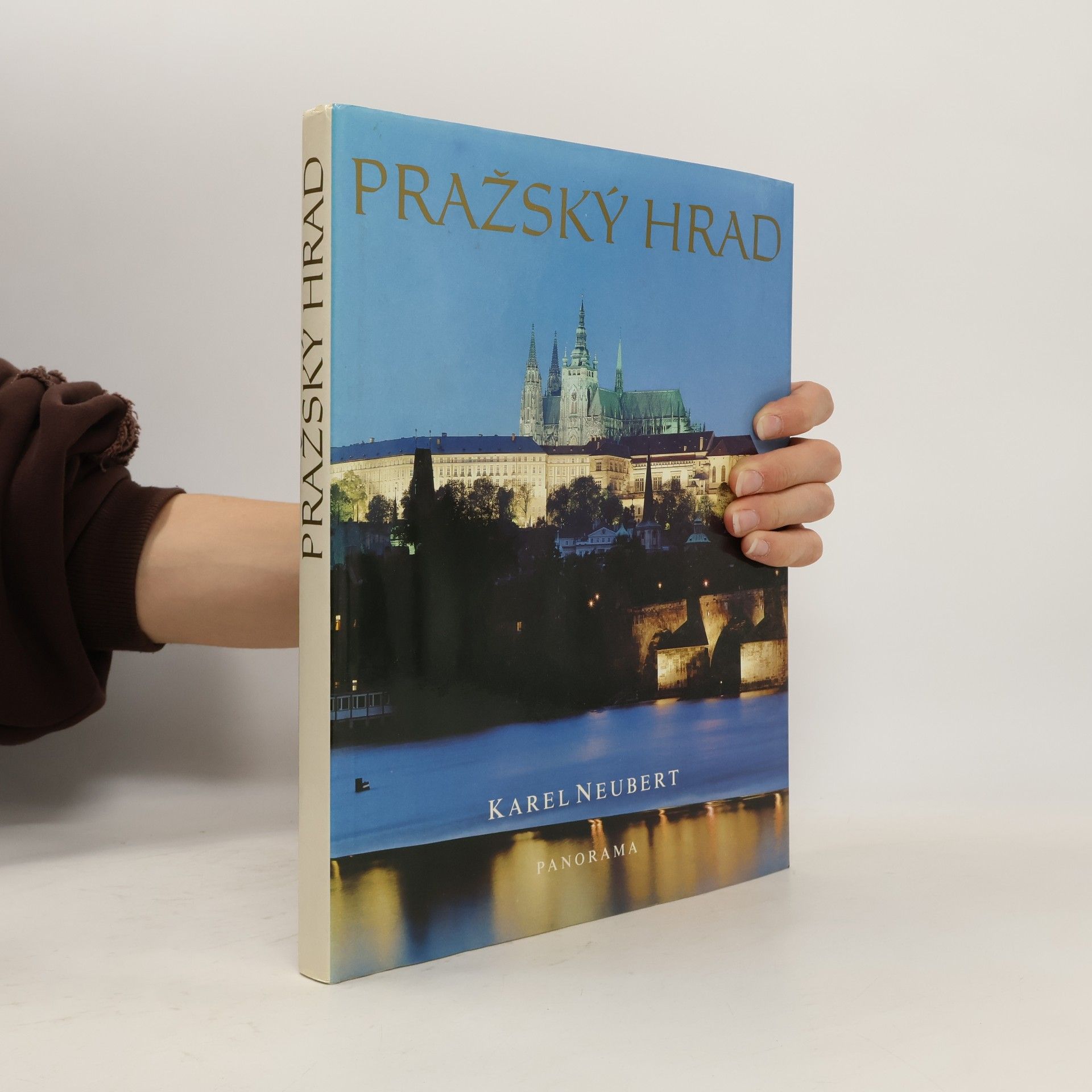 Karel Neubert Pražský hrad