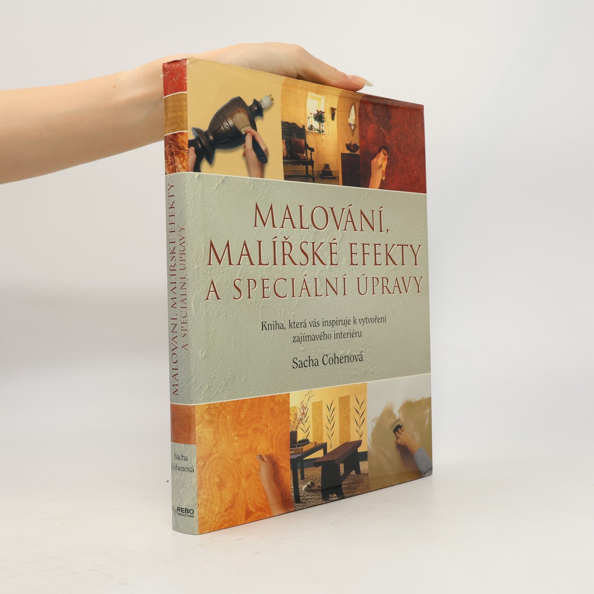 Malování, malířské efekty a speciální úpravy. Kniha, která vás inspiruje k vytvoření zajímavého interiéru