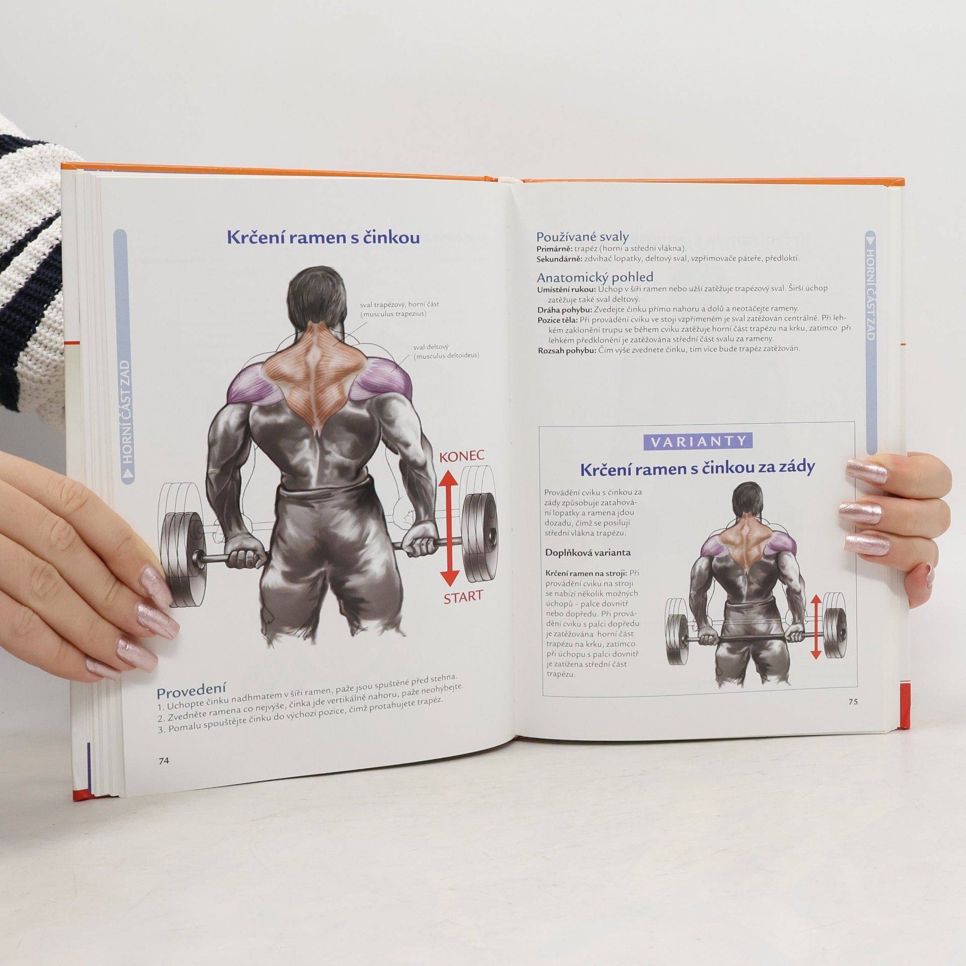Nick Evans Bodybuilding a posilování : efektivní cvičení pro dokonalé tělo: Váš ilustrovaný průvodce, jak získat svalovou hmotu a zformovat tělo