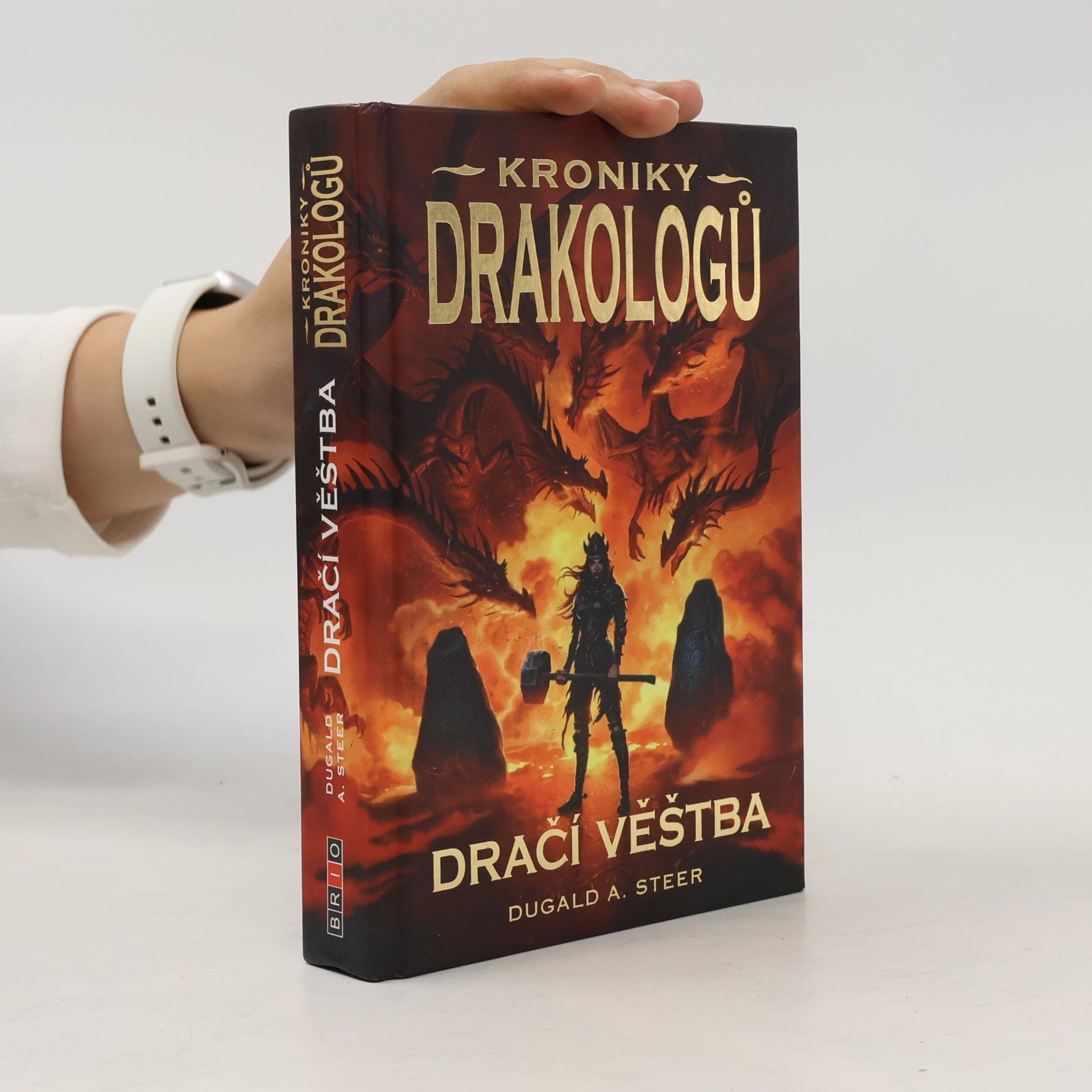 Kroniky drakologů. Dračí věštba. Sv. IV