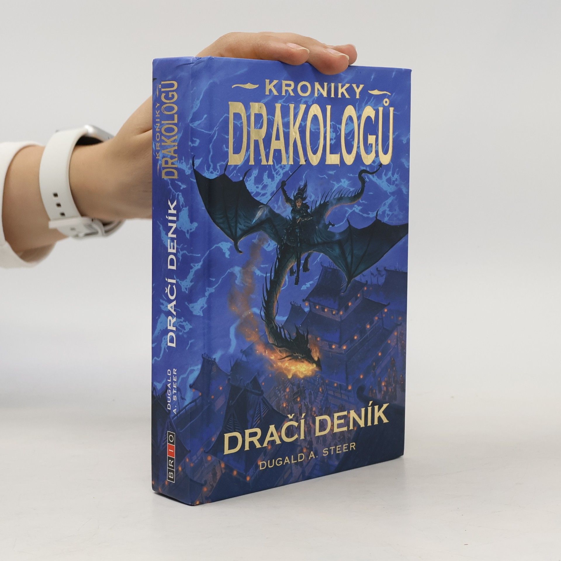 Dračí deník