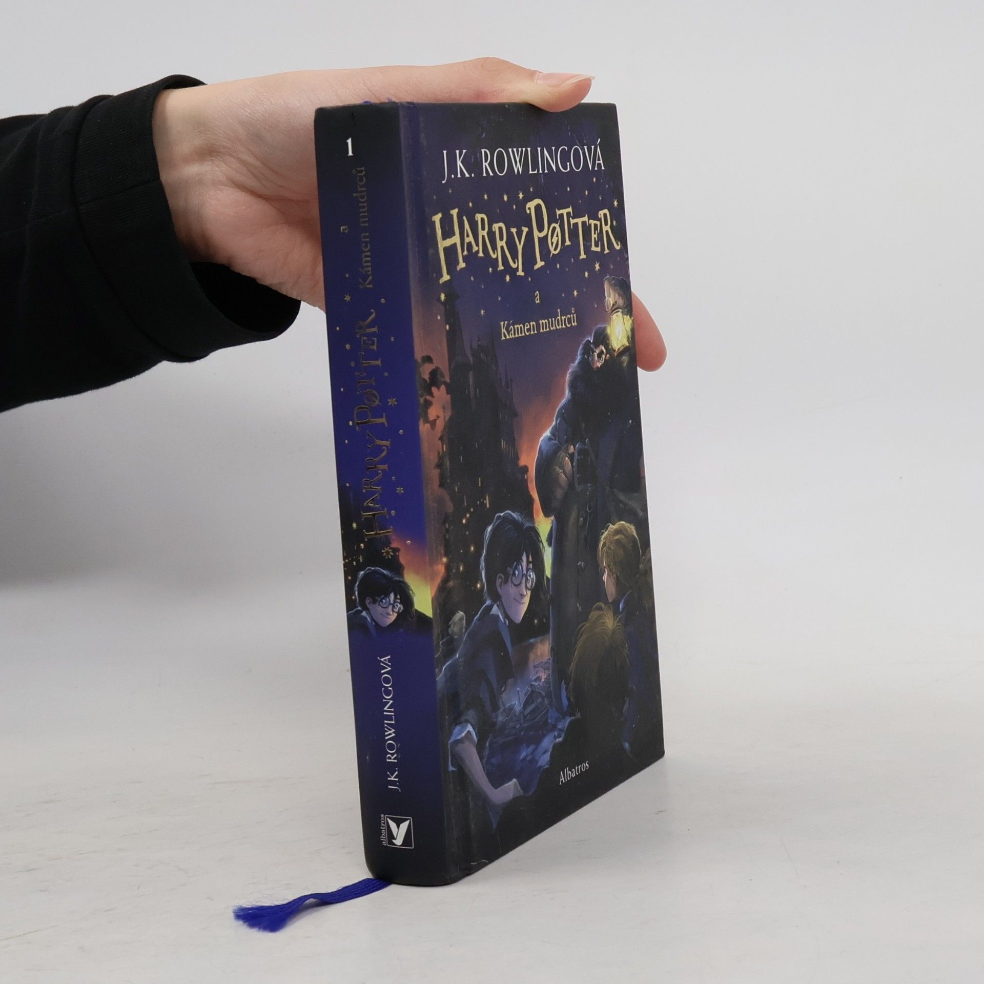 Harry Potter a kámen mudrců