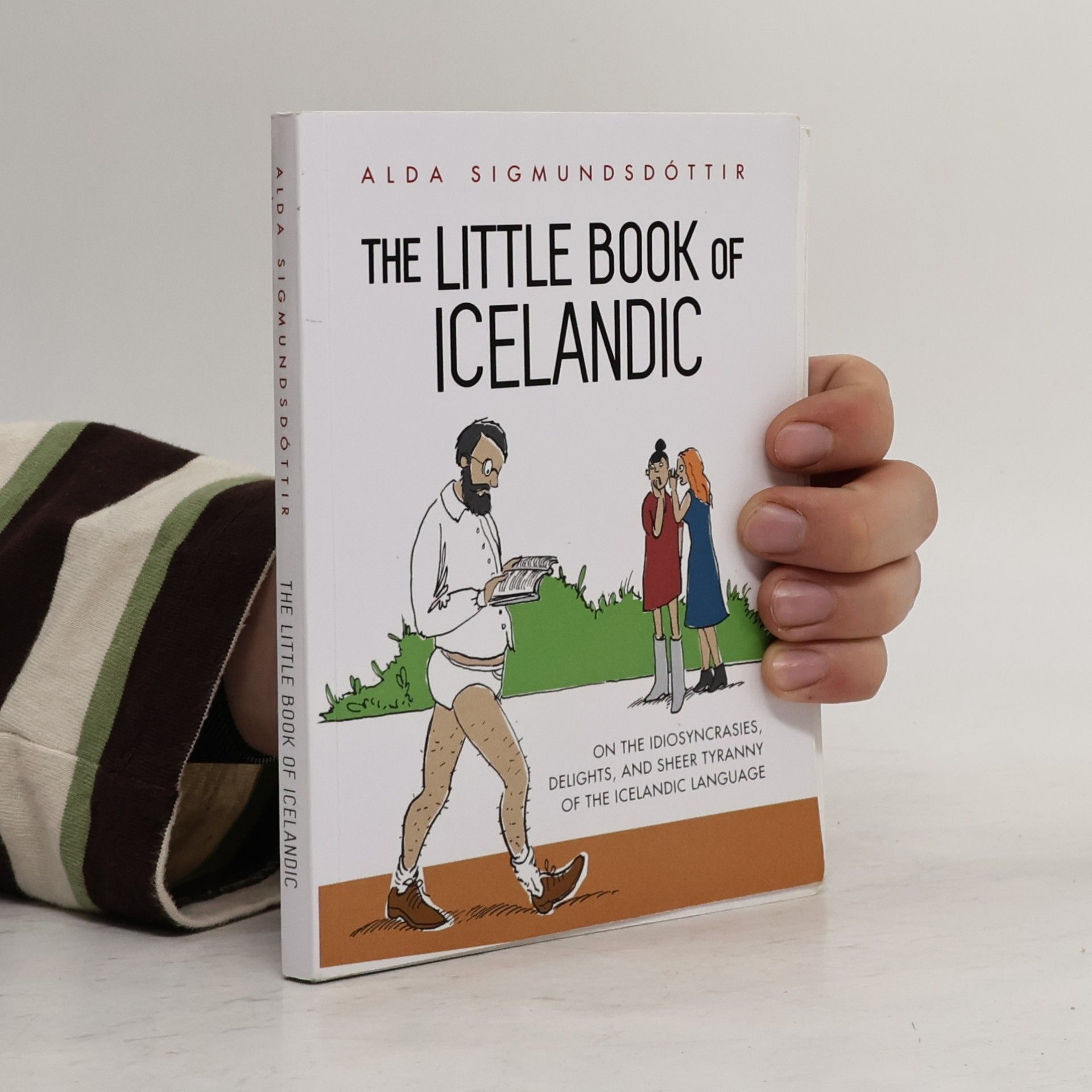 The Little Book of Icelandic