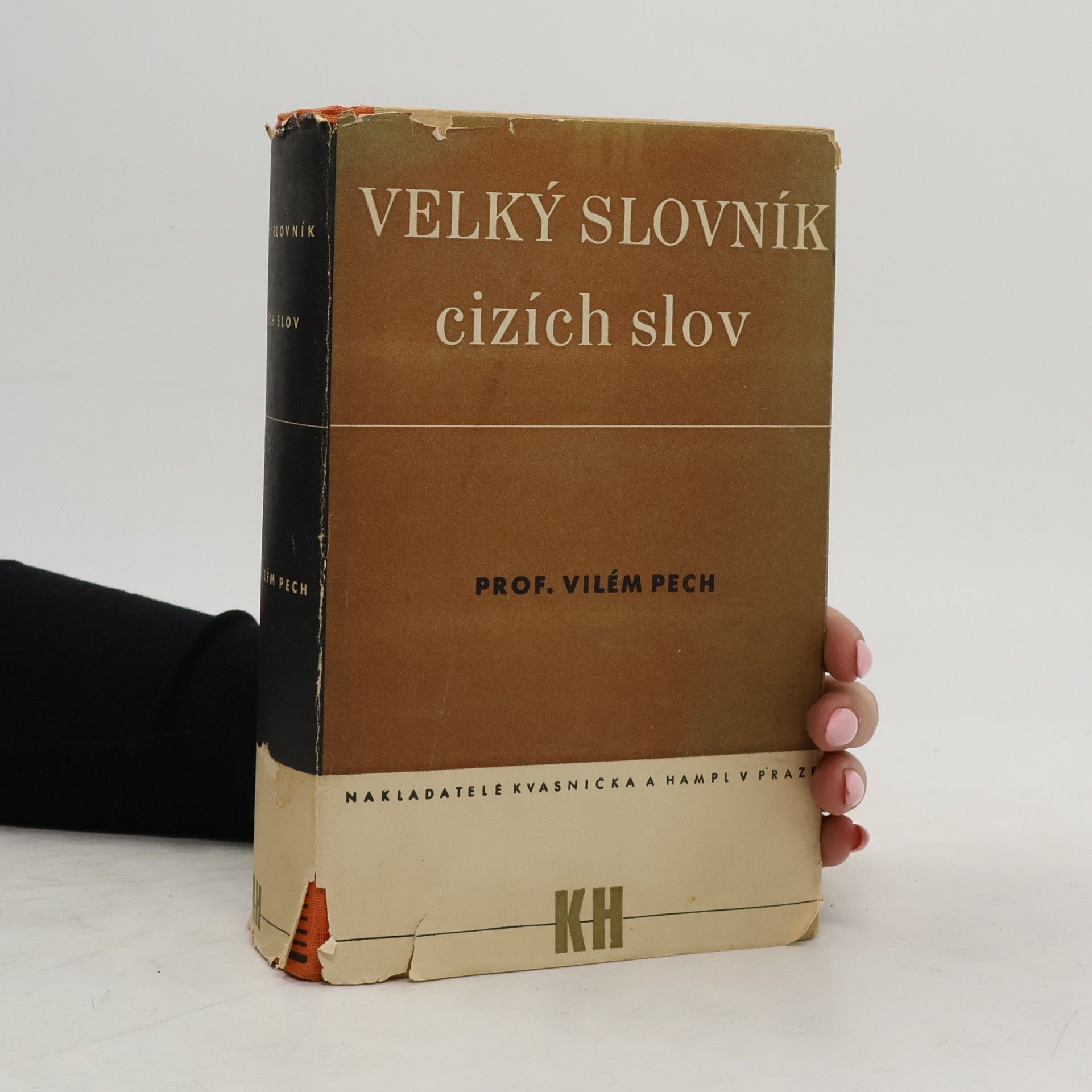 Pech Vilém Velký slovník cizích slov