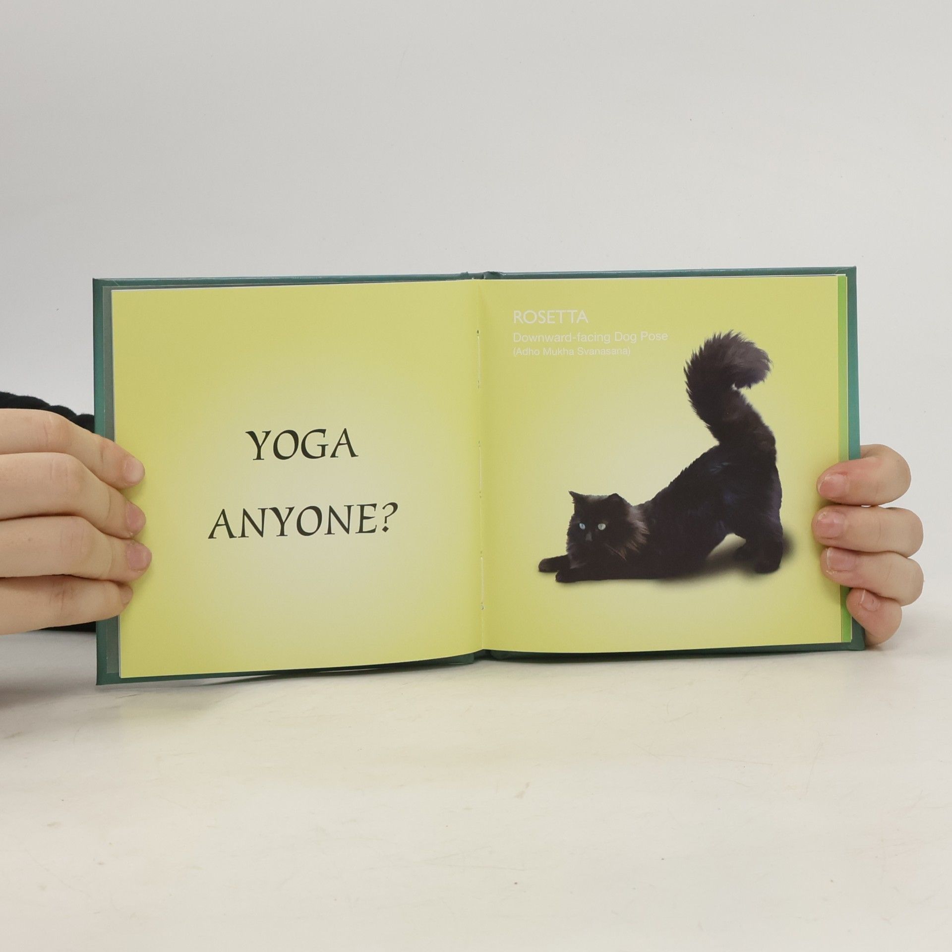 Daniel Borris Yoga Cats