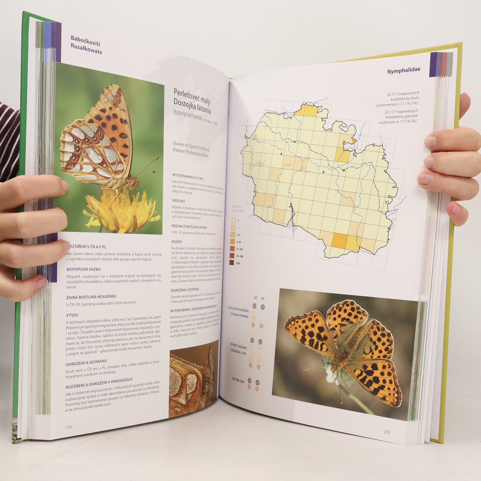 Oldřich Čížek Denní motýli v Krkonoších: atlas rozšíření
