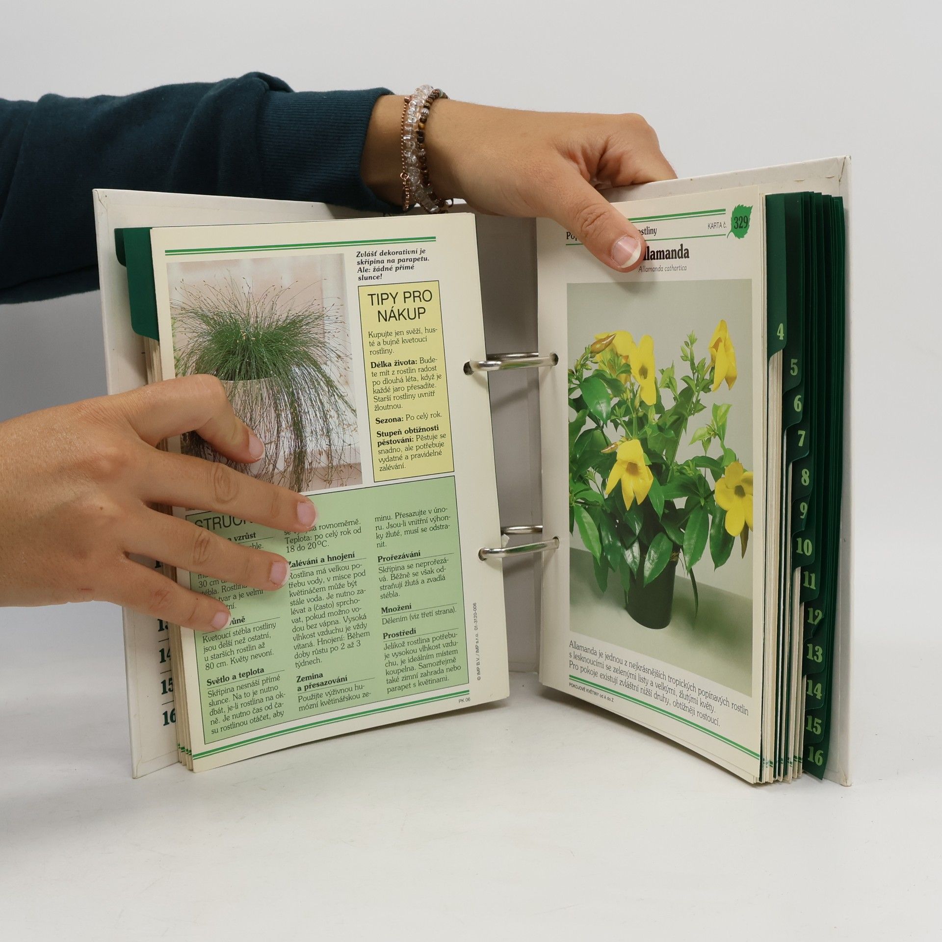 Autores varios Pokojové květiny od A do Z