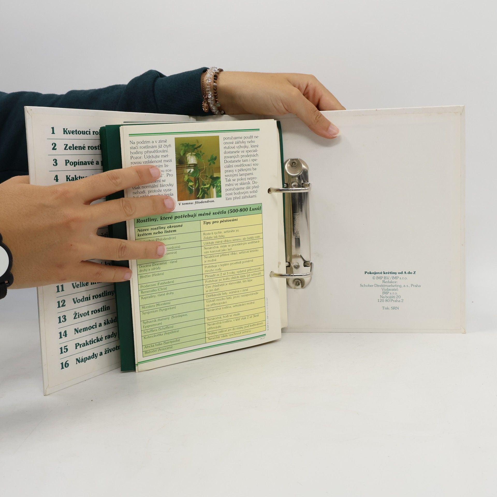 Autores varios Pokojové květiny od A do Z
