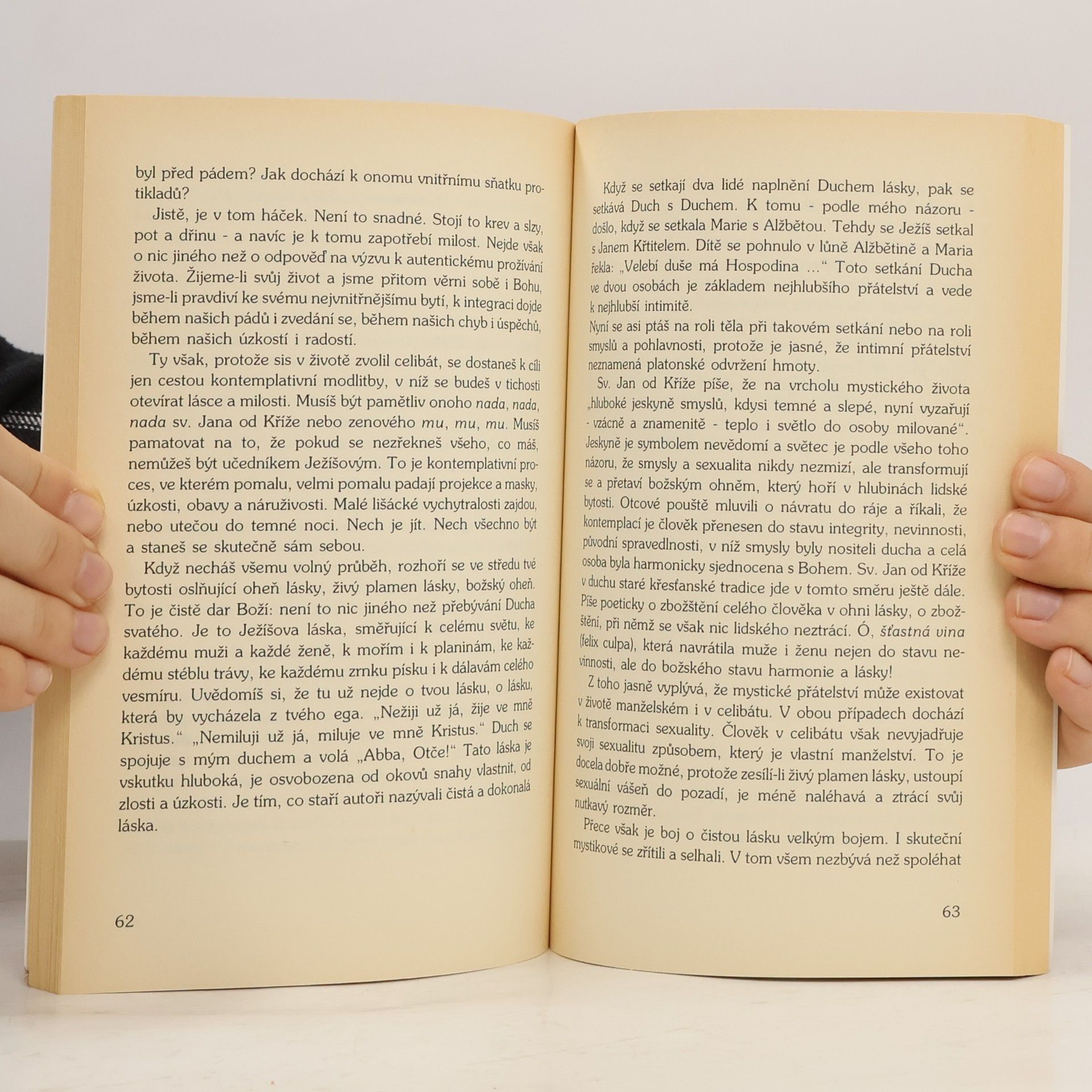 William Johnston Hledání nové spirituality. Setkání křesťanství a buddhismu v dopisech misionáře v Japonsku