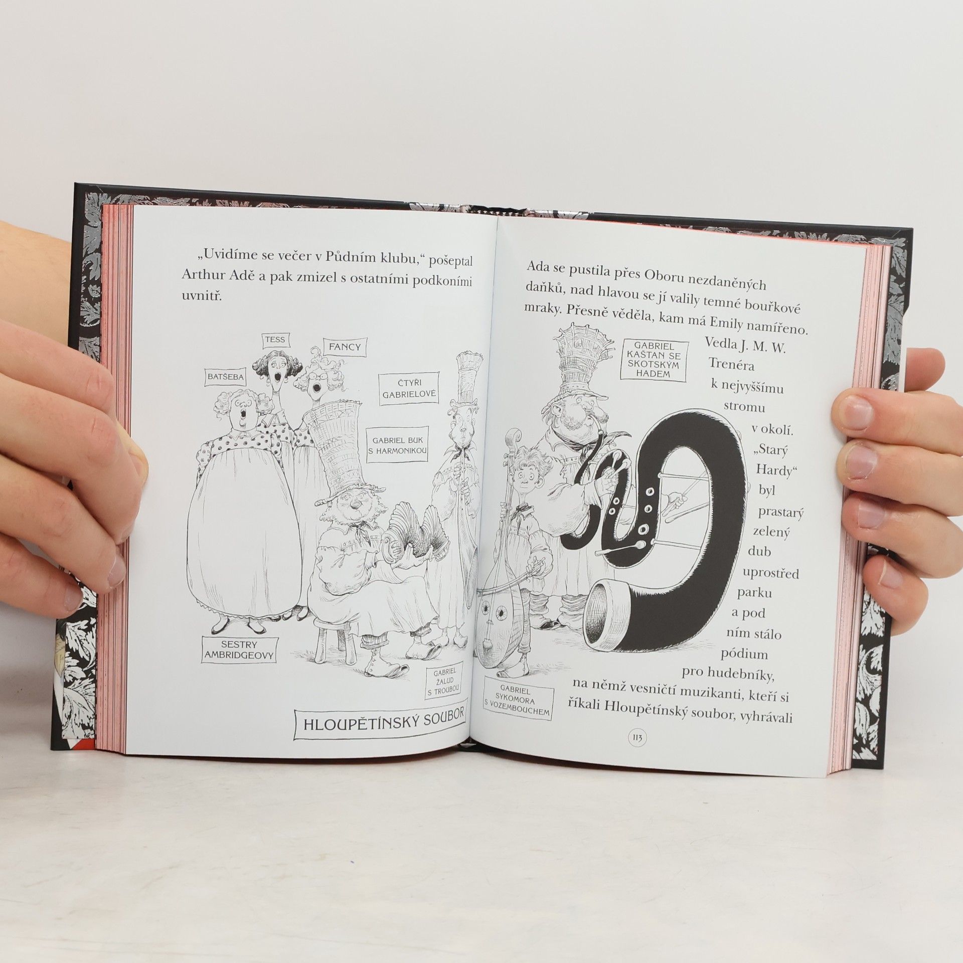 Chris Riddell Ada a hrůzostrašná slavnost