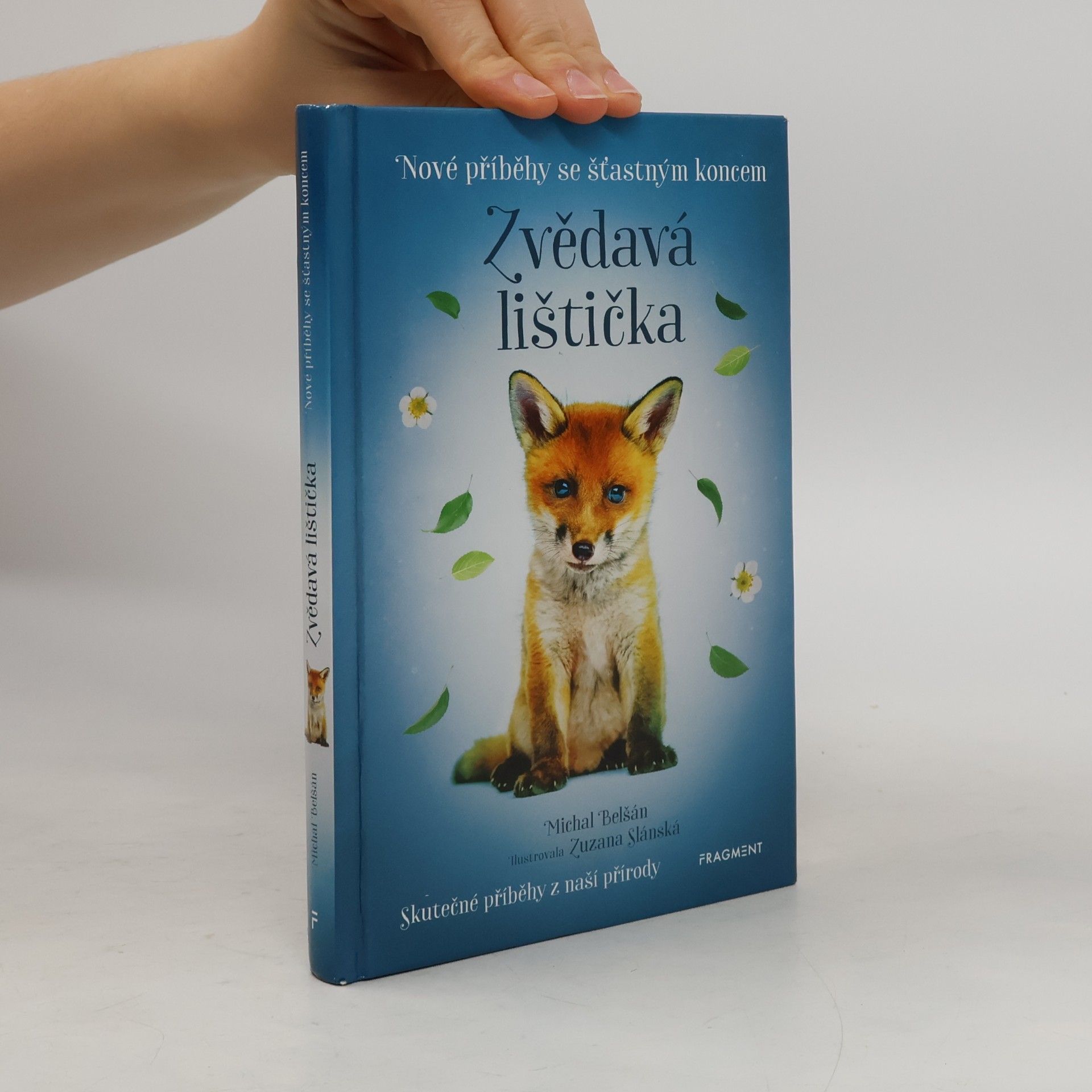 Michal Belšán Zvědavá lištička