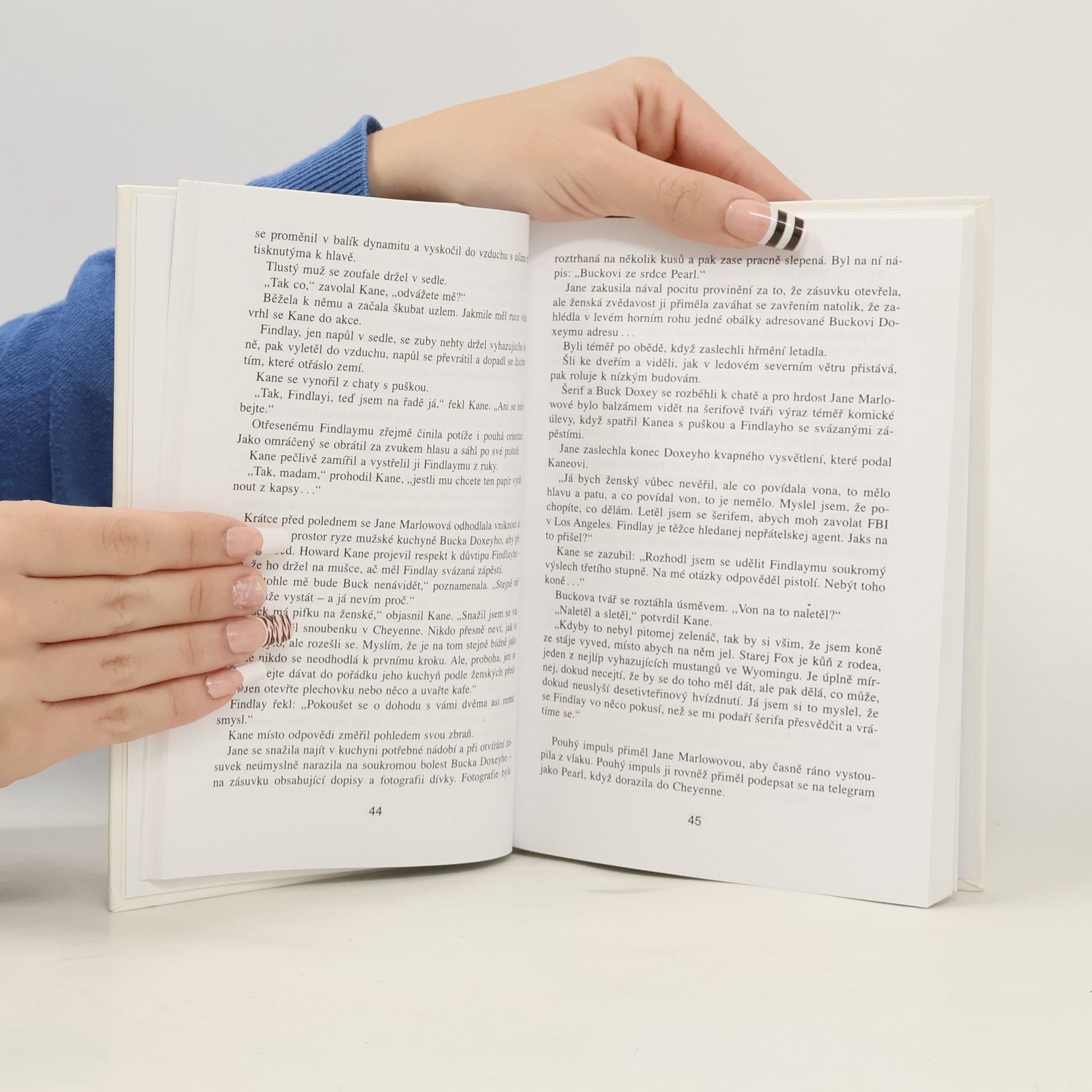 Erle Stanley Gardner Případ vrahovy nevěsty