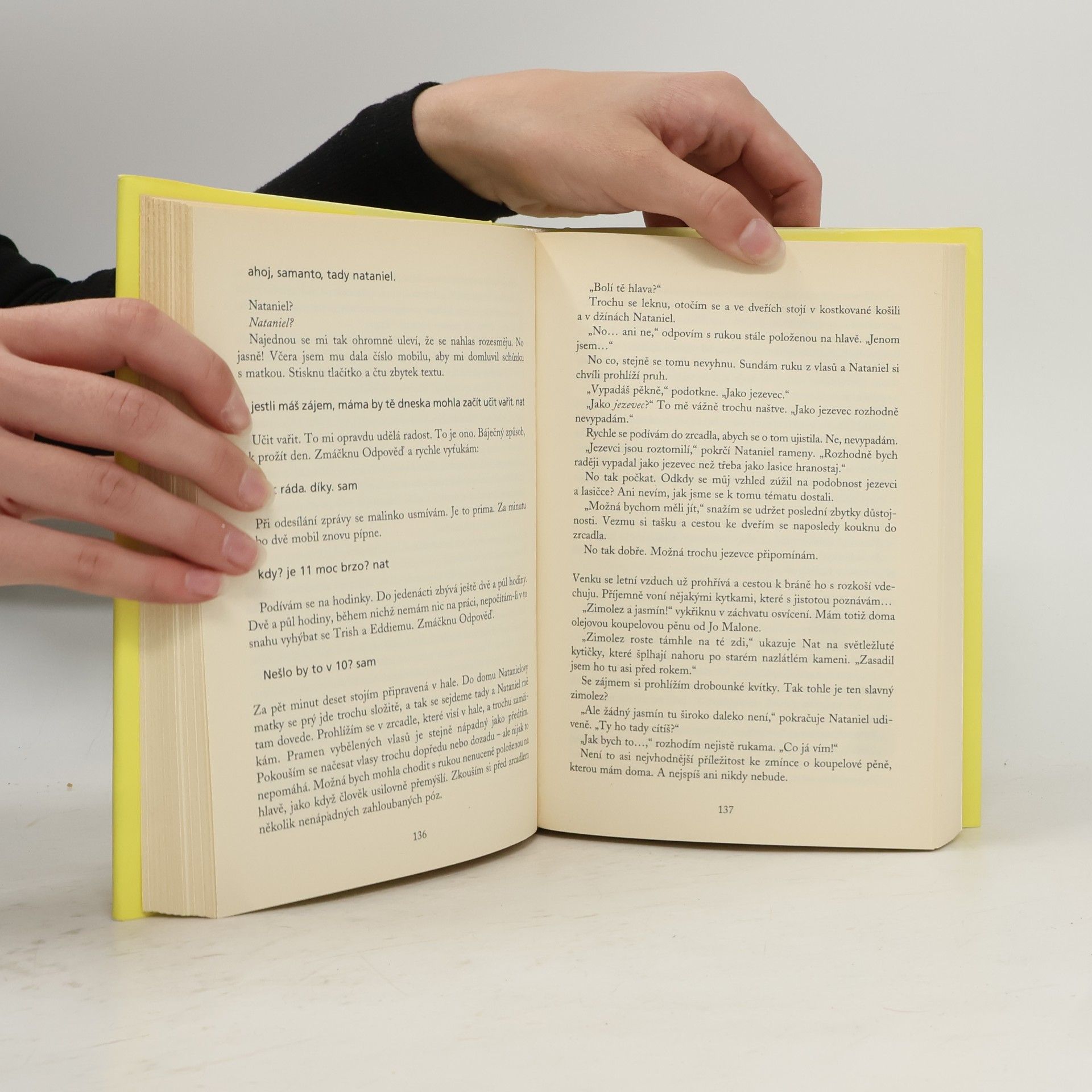 Sophie Kinsella Bohyně v domácnosti