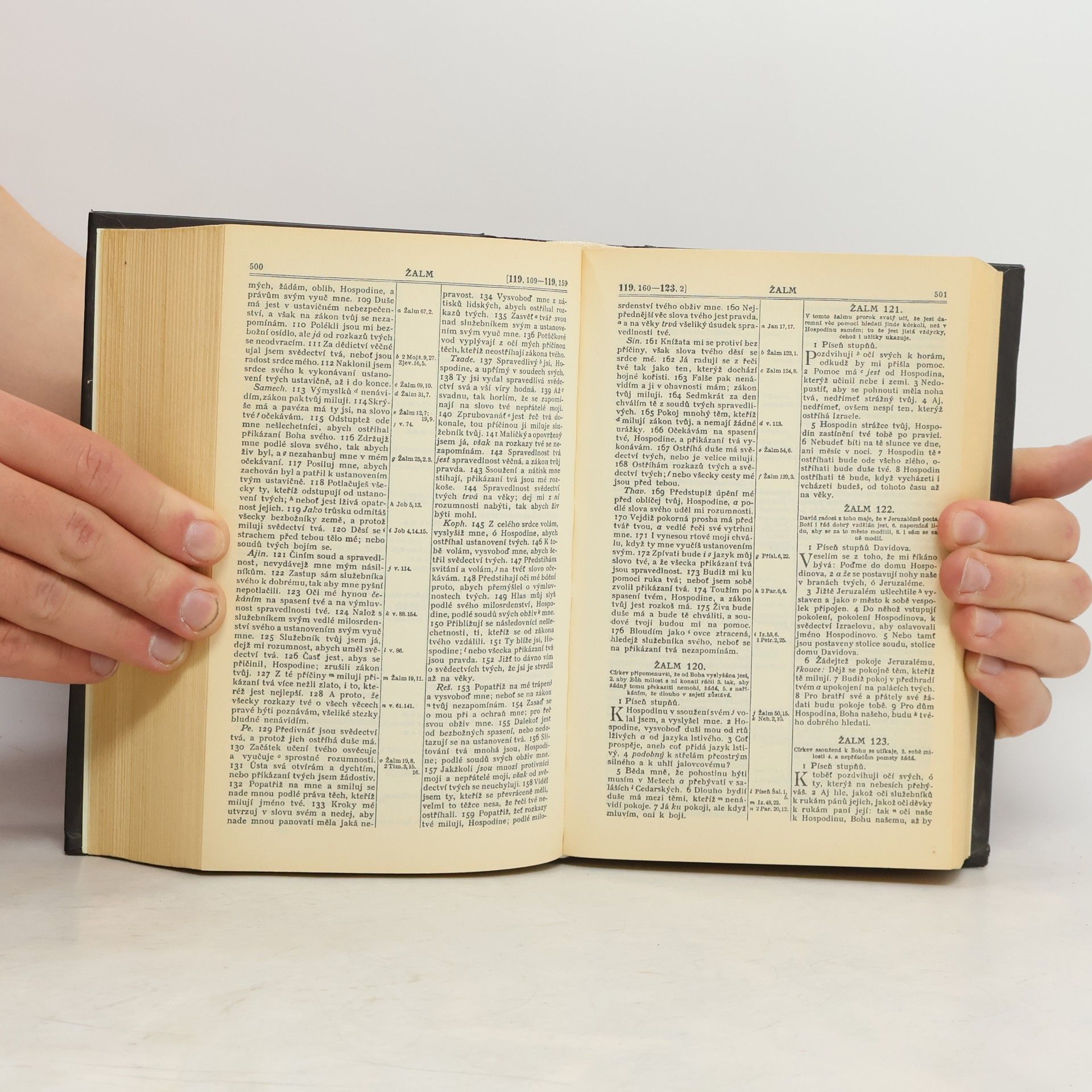 Collectif d'auteurs Bible svatá aneb všecka svatá písma Starého i Nového zákona
