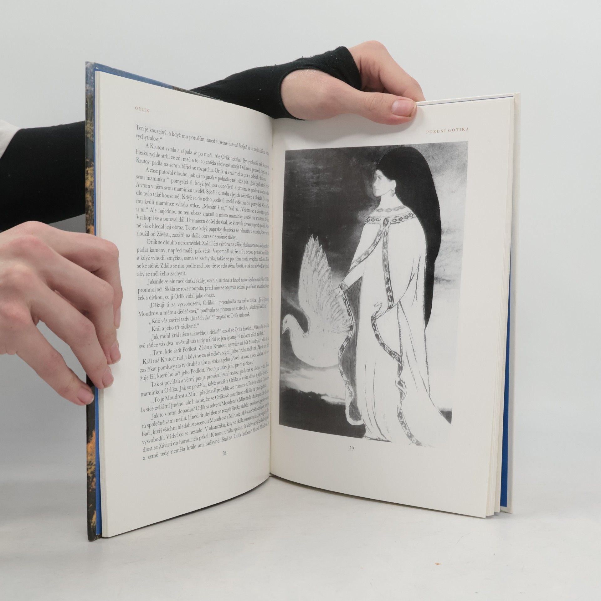 Marie Jehličková Pohádky z hradů, moří a lesů. Ilustrace v historických slozích