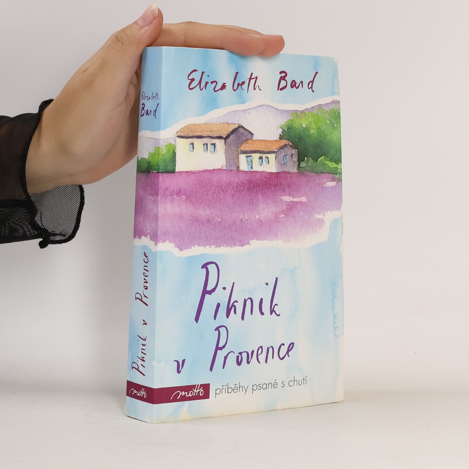 Elizabeth Bard Piknik v Provence