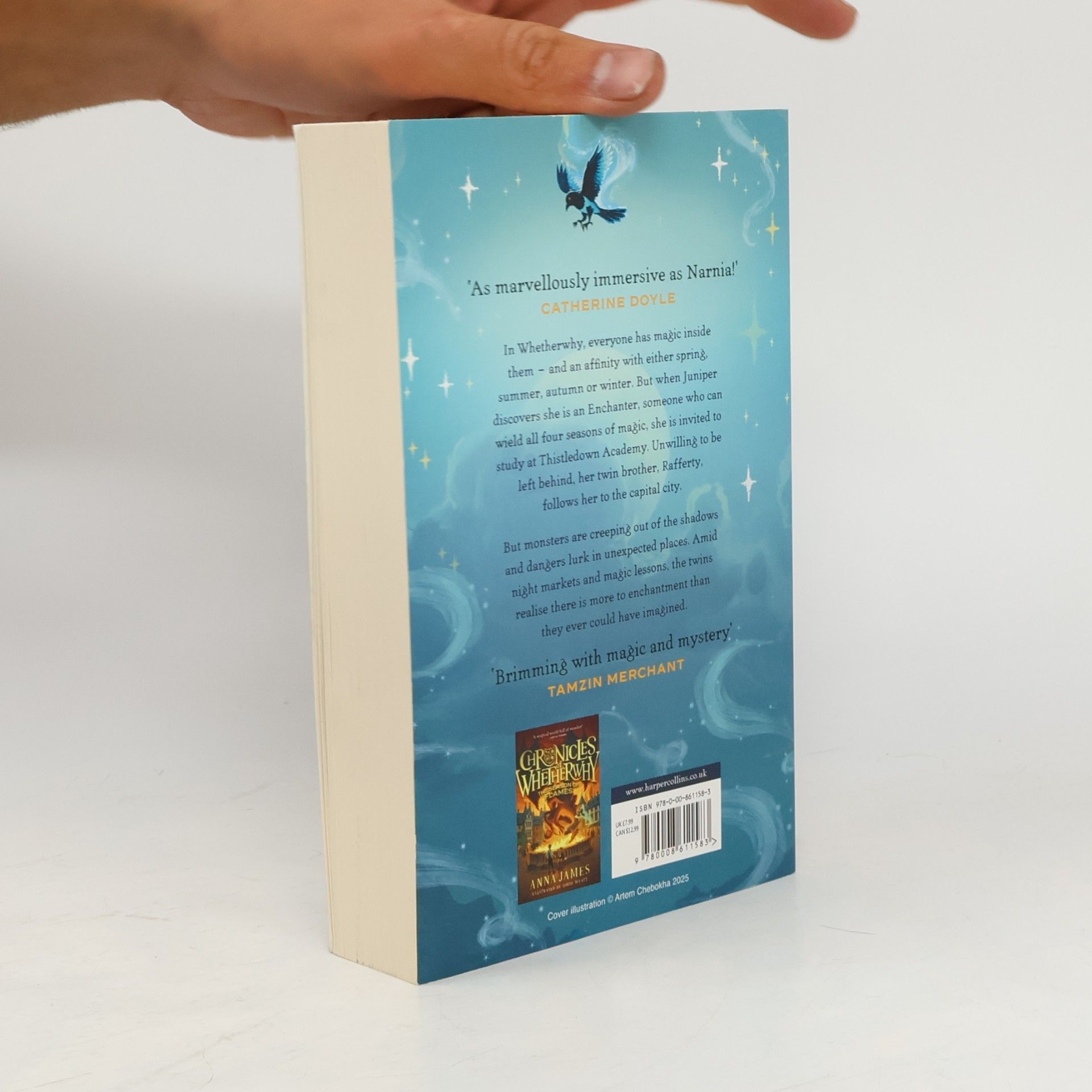 Anna James Chronicles of Whetherwhy: The Age of Enchantment