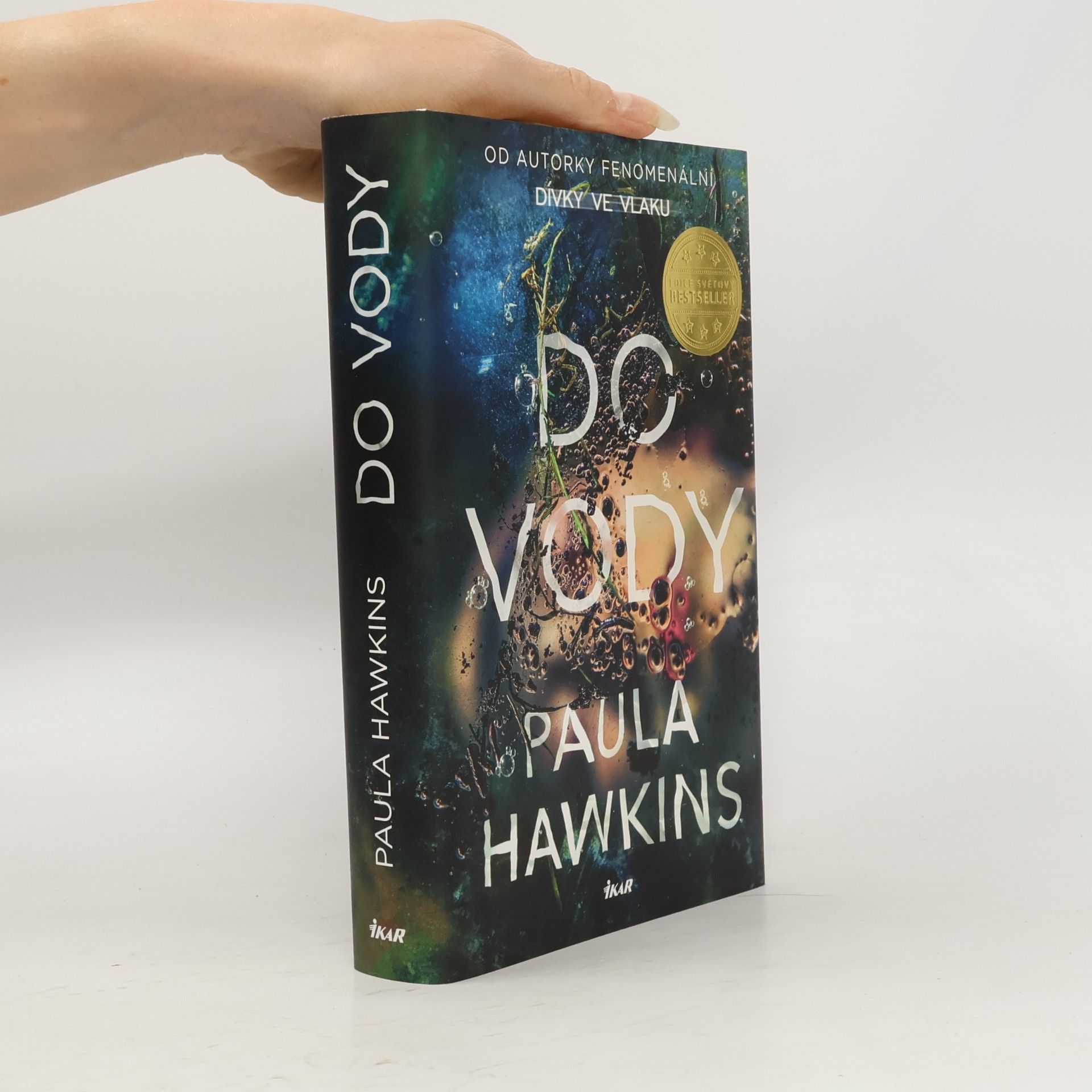 Paula Hawkinsová Do vody
