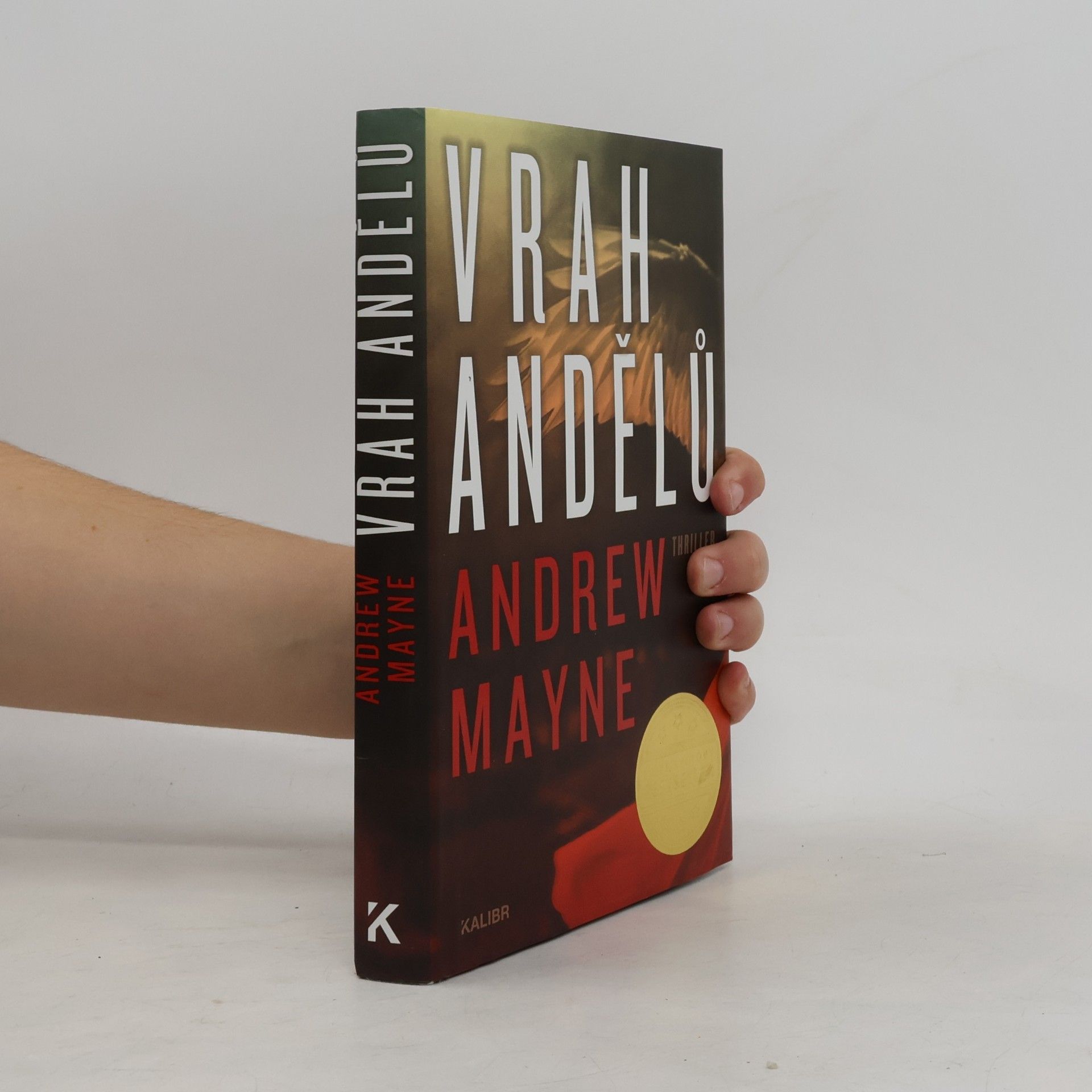 Andrew Mayne Vrah andělů
